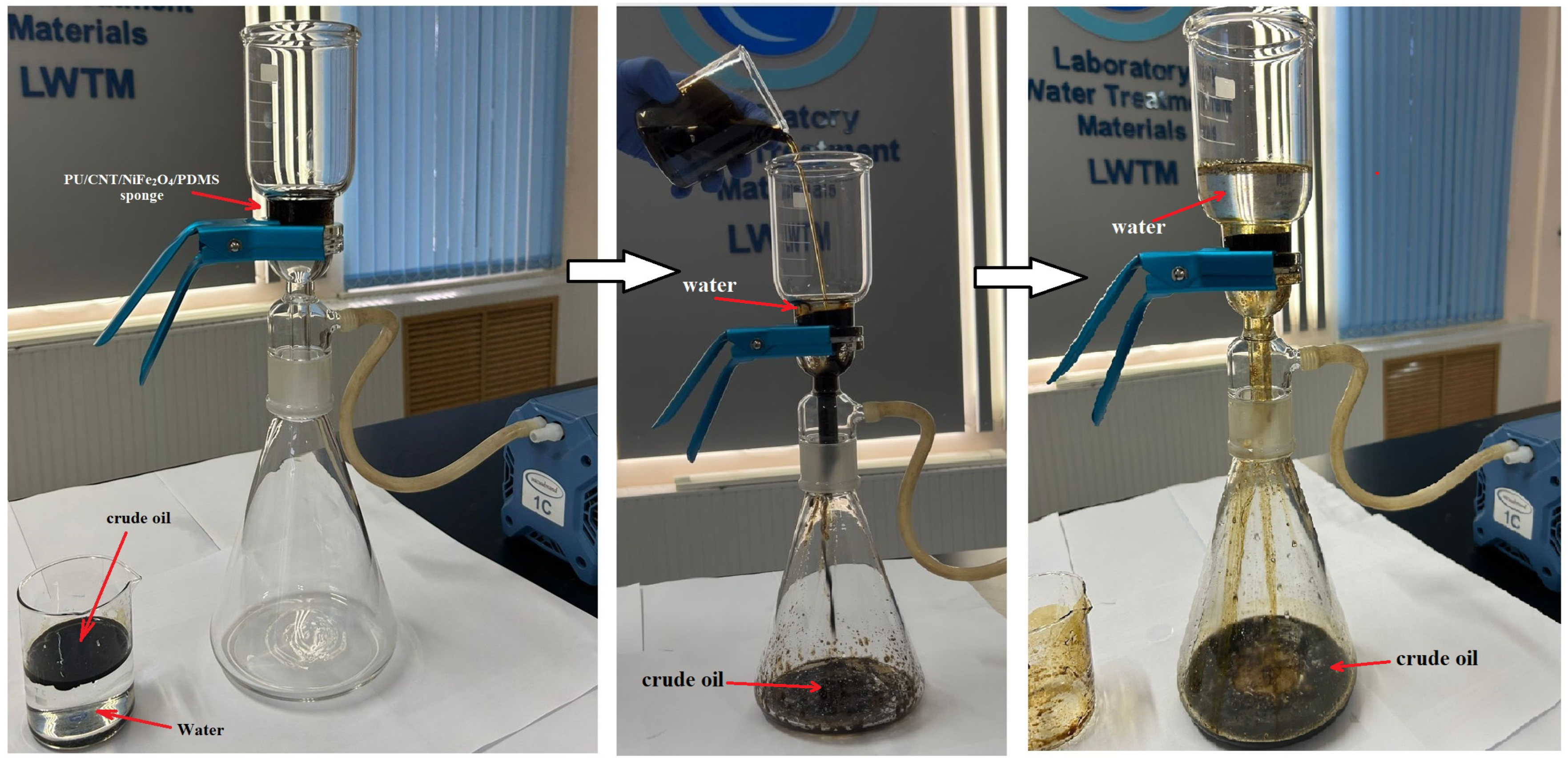 Nanomaterials 14 01942 g011