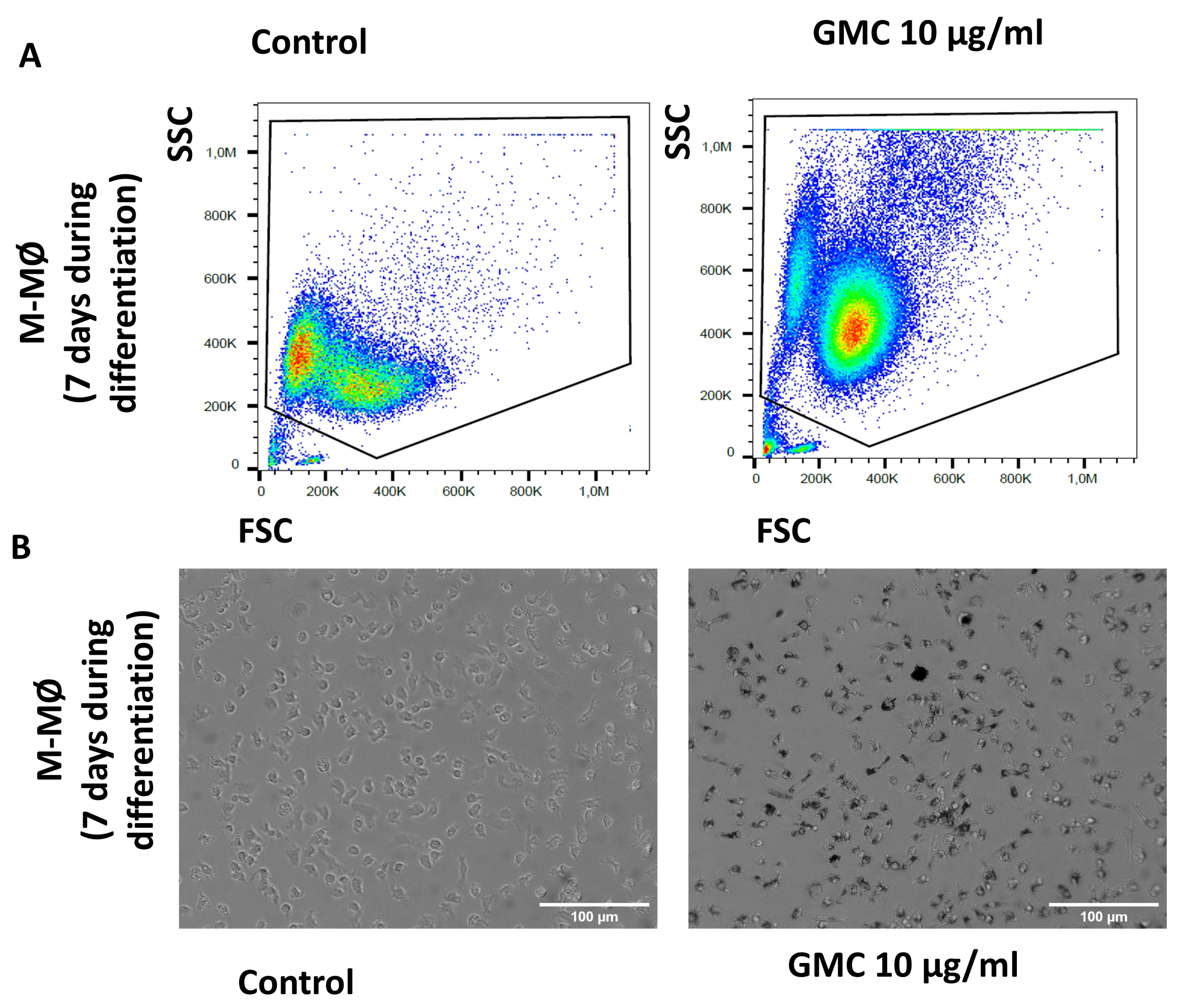 Nanomaterials 14 01945 g009