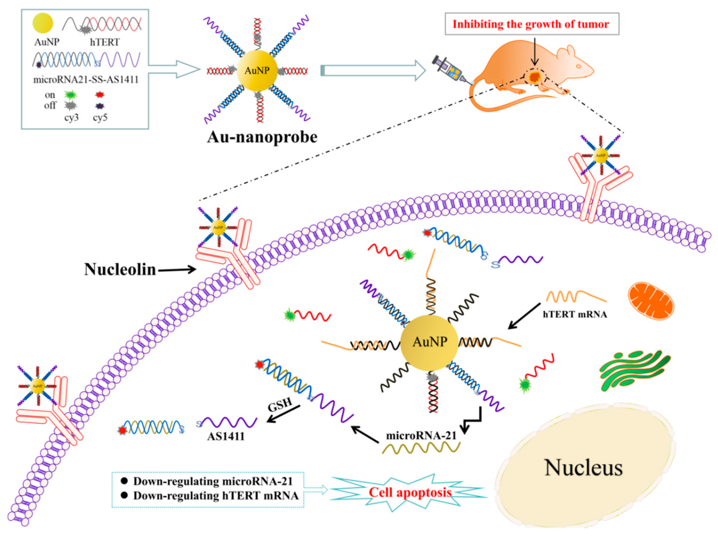 Nanomaterials 14 01956 sch001