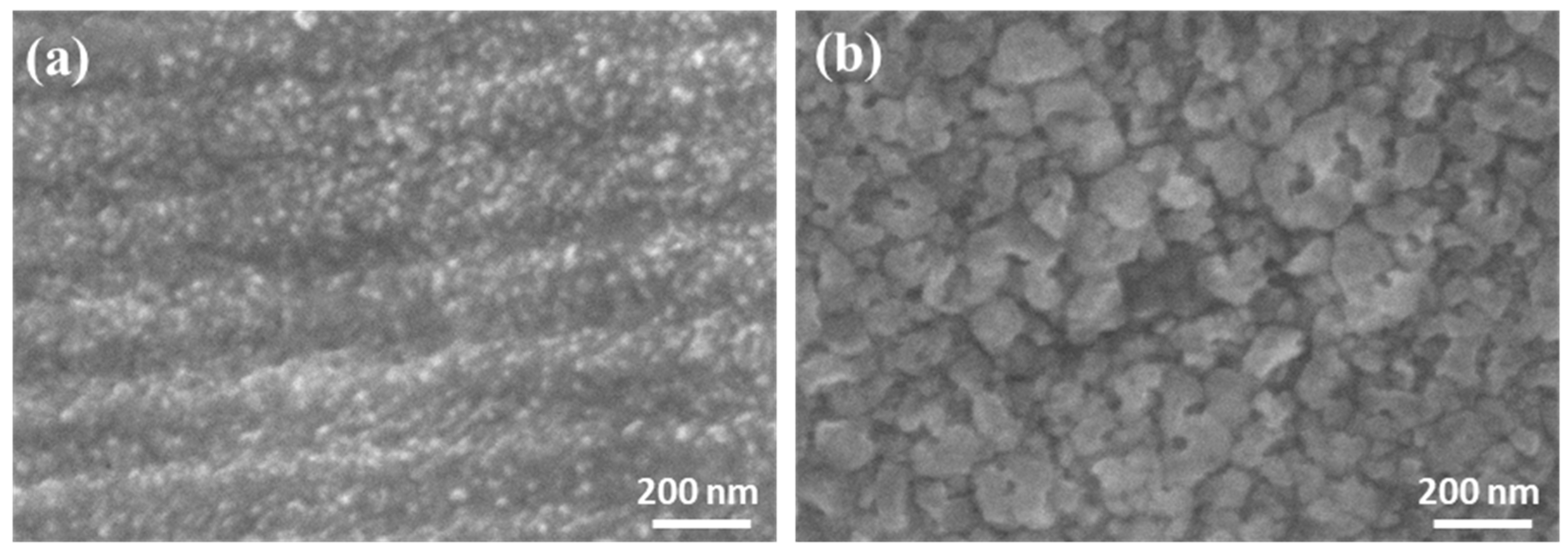 Nanomaterials 14 01977 g006