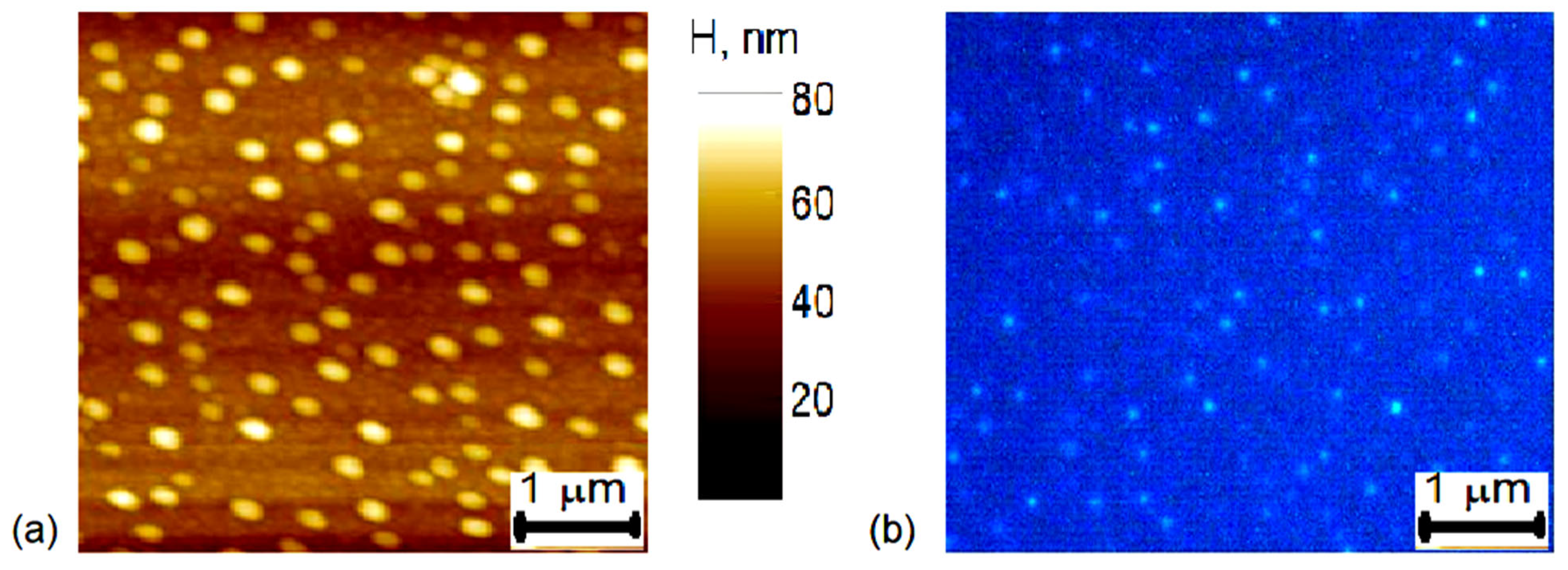 Nanomaterials 14 01988 g001