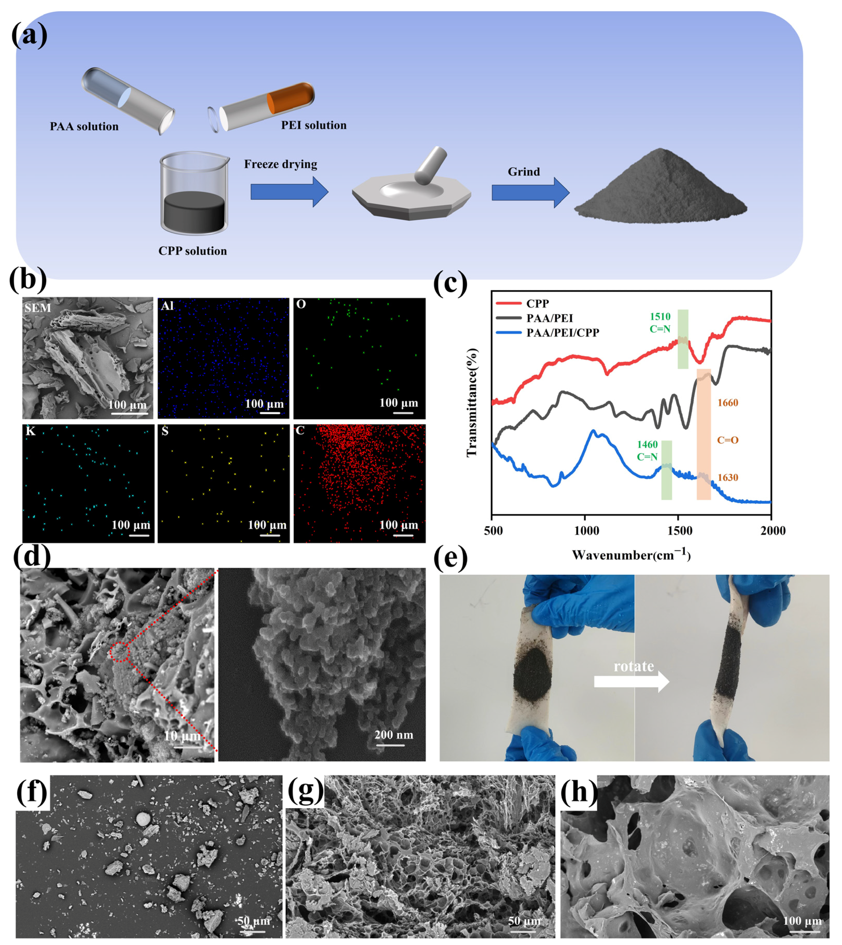 Nanomaterials 14 01992 g001
