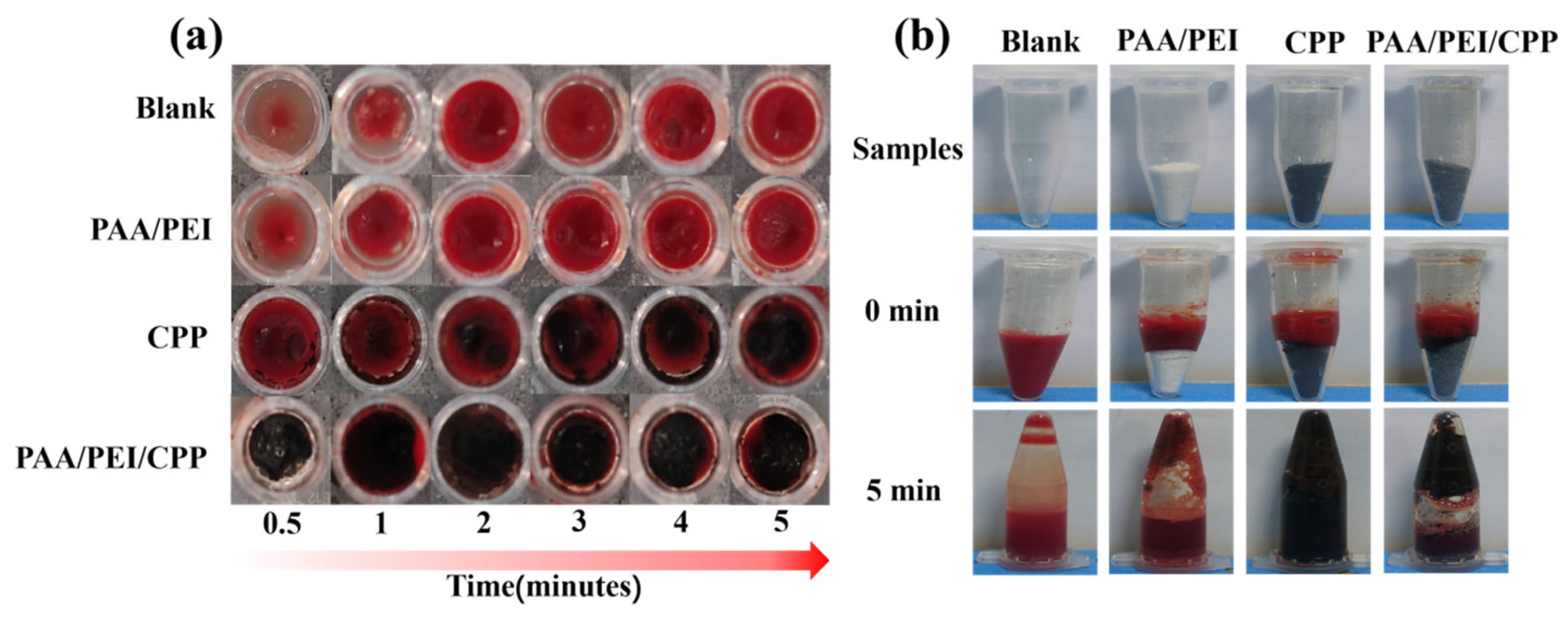 Nanomaterials 14 01992 g004