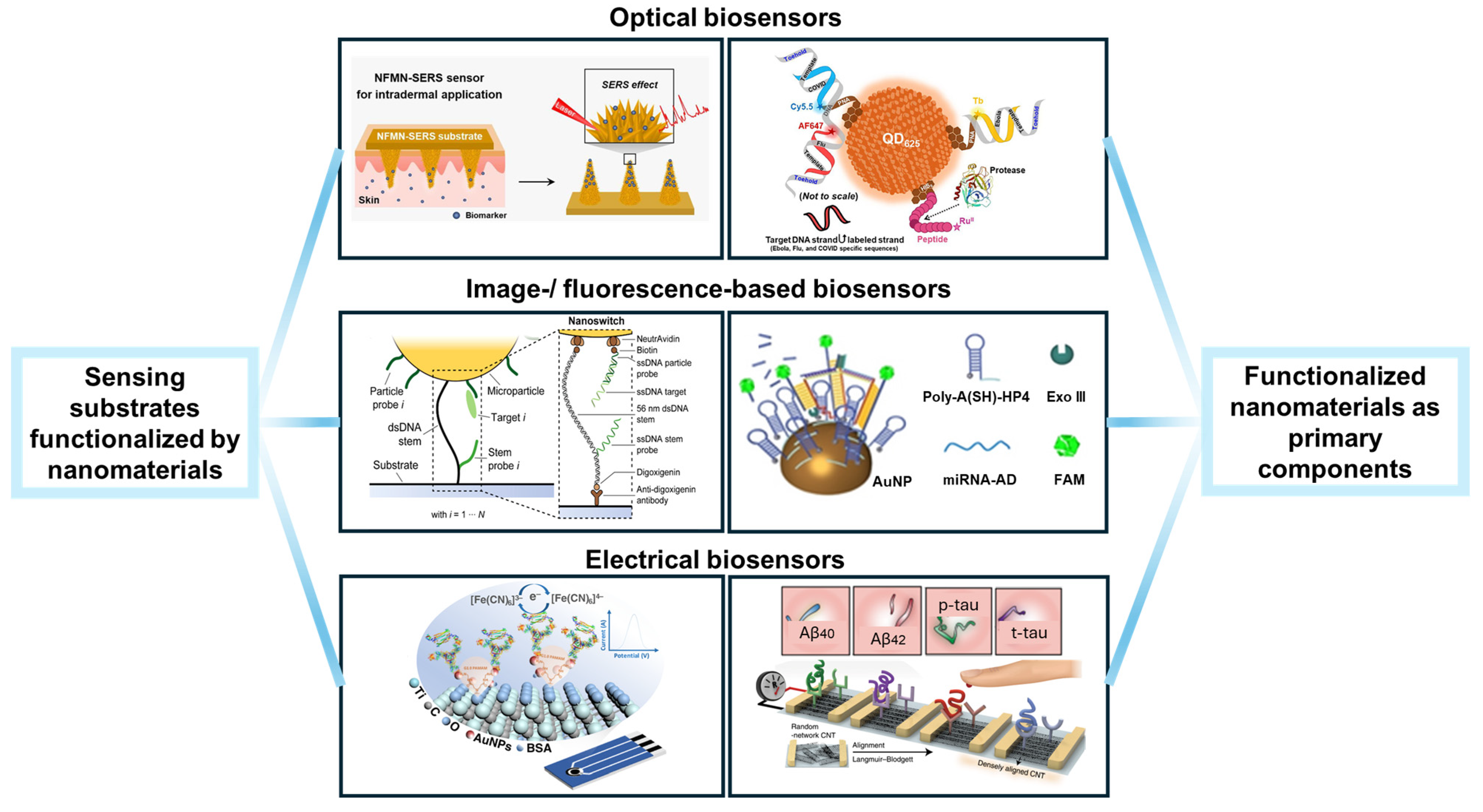 Nanomaterials 14 02014 g001