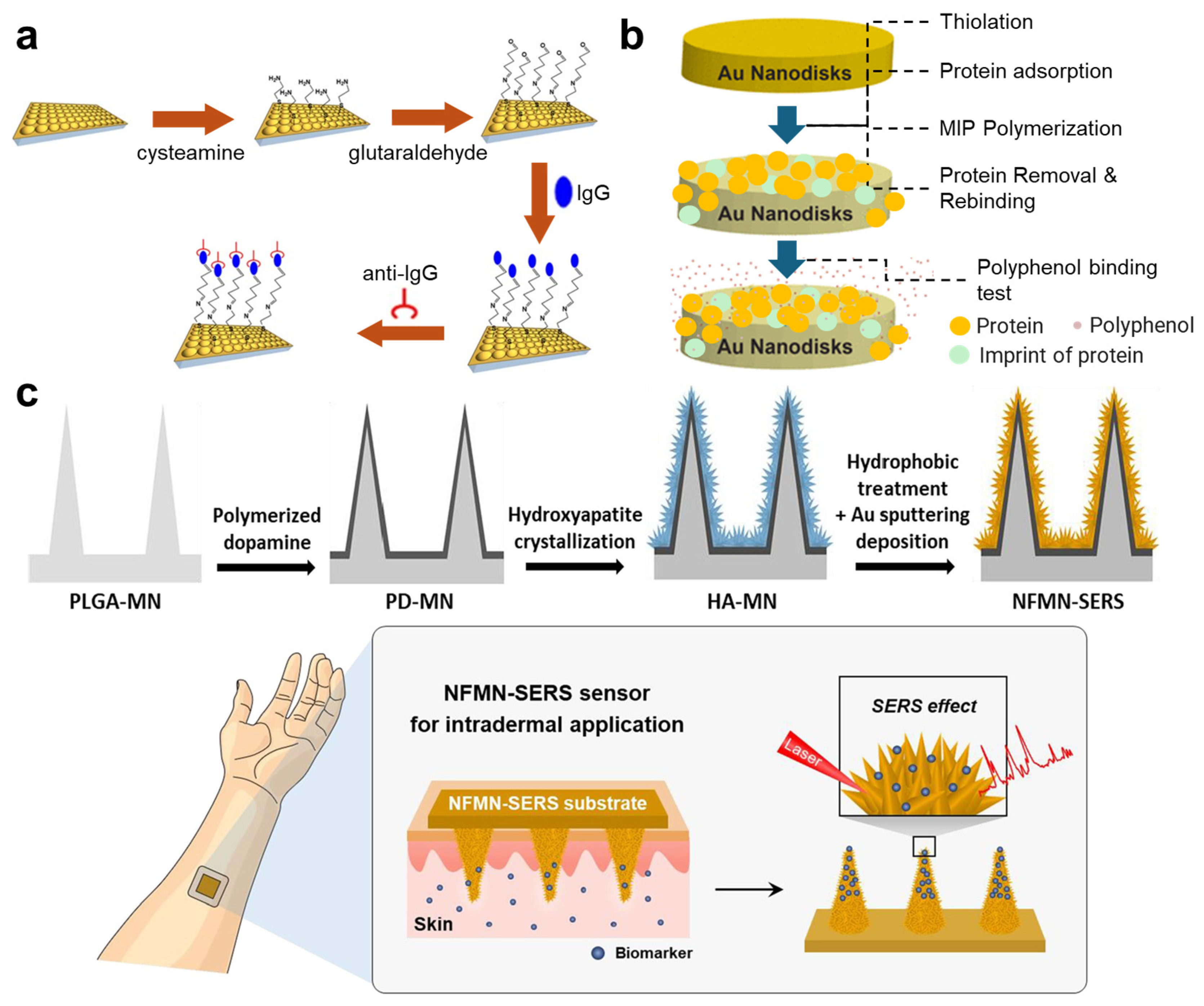 Nanomaterials 14 02014 g003