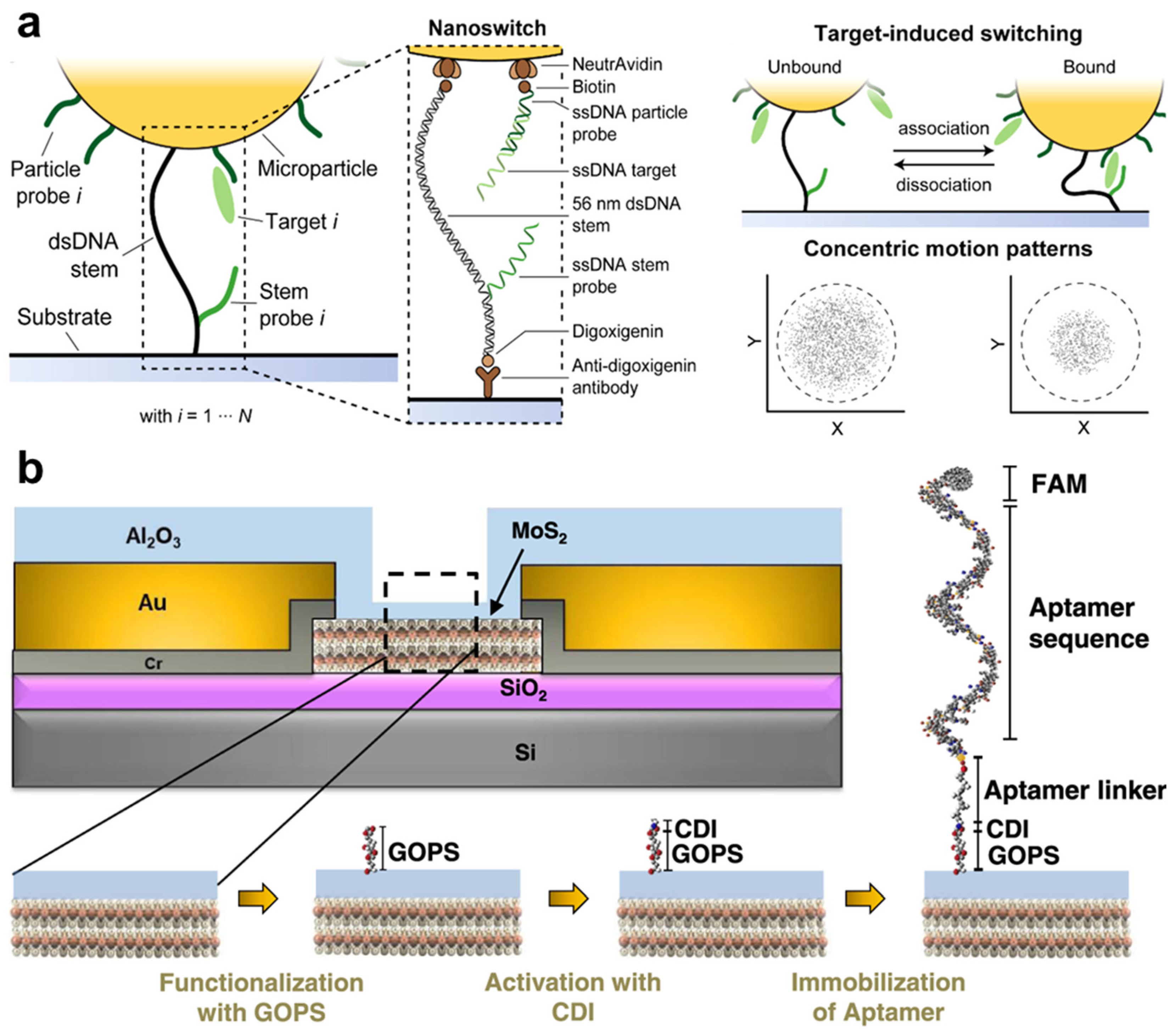 Nanomaterials 14 02014 g006