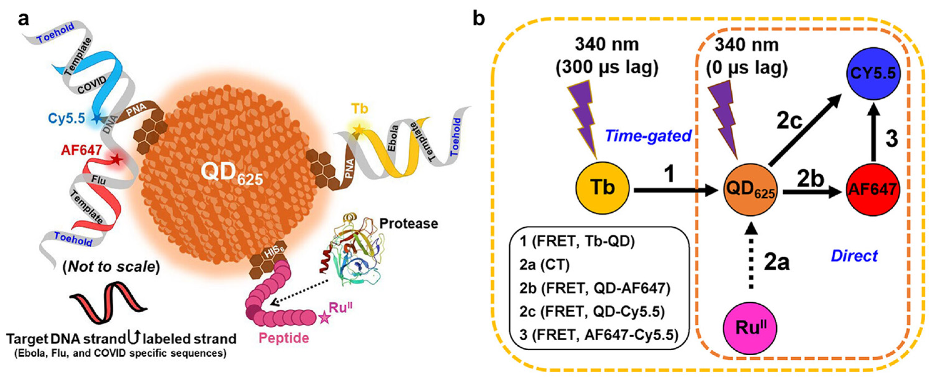 Nanomaterials 14 02014 g008
