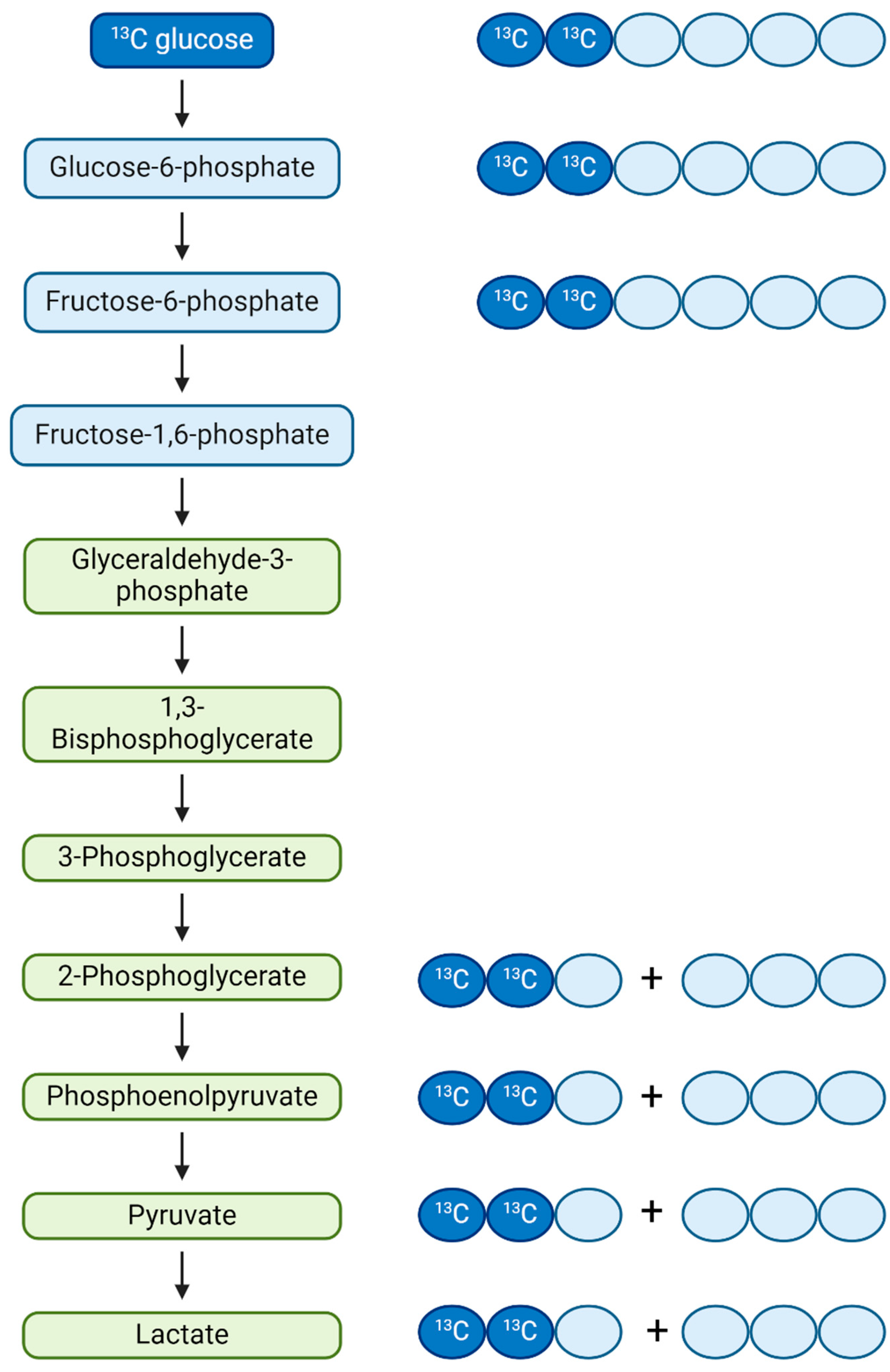 Nanomaterials 14 02017 g004
