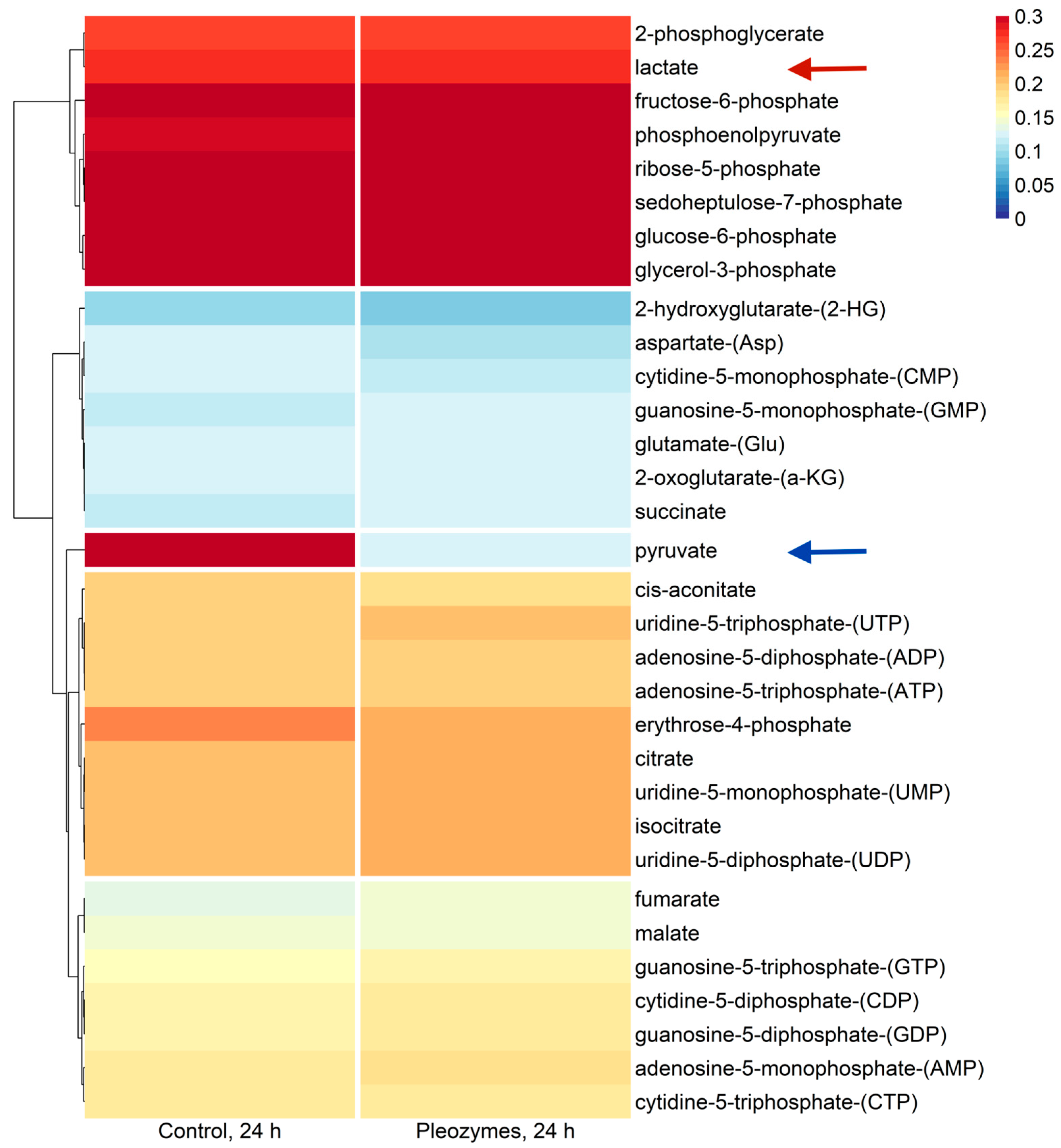 Nanomaterials 14 02017 g005