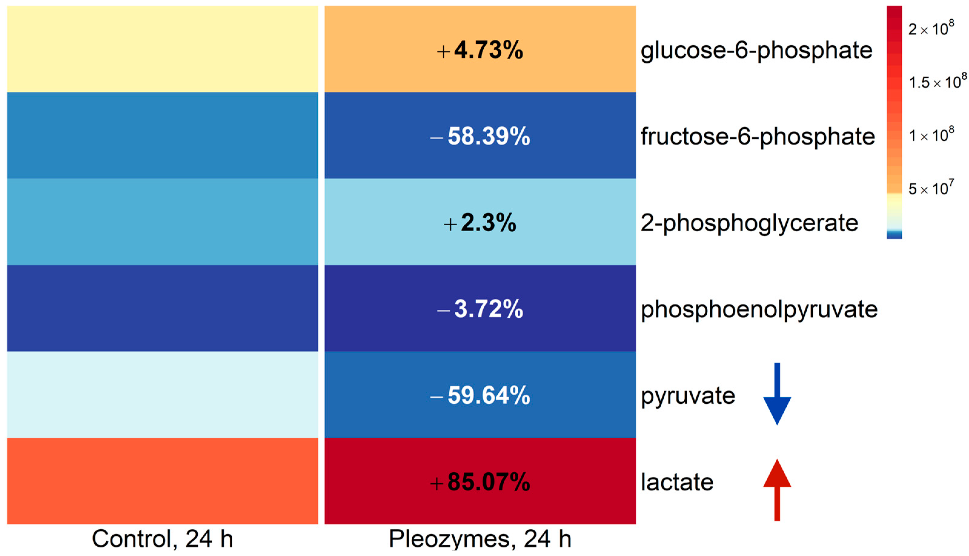 Nanomaterials 14 02017 g006