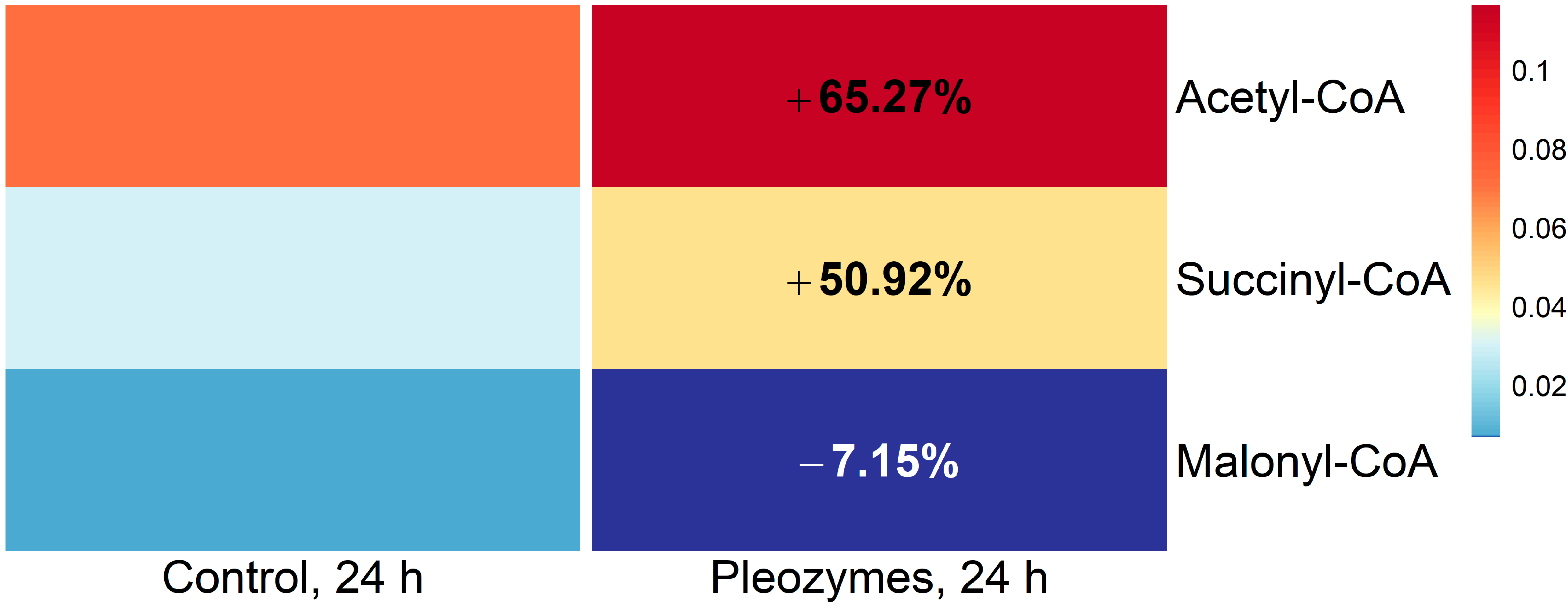 Nanomaterials 14 02017 g010