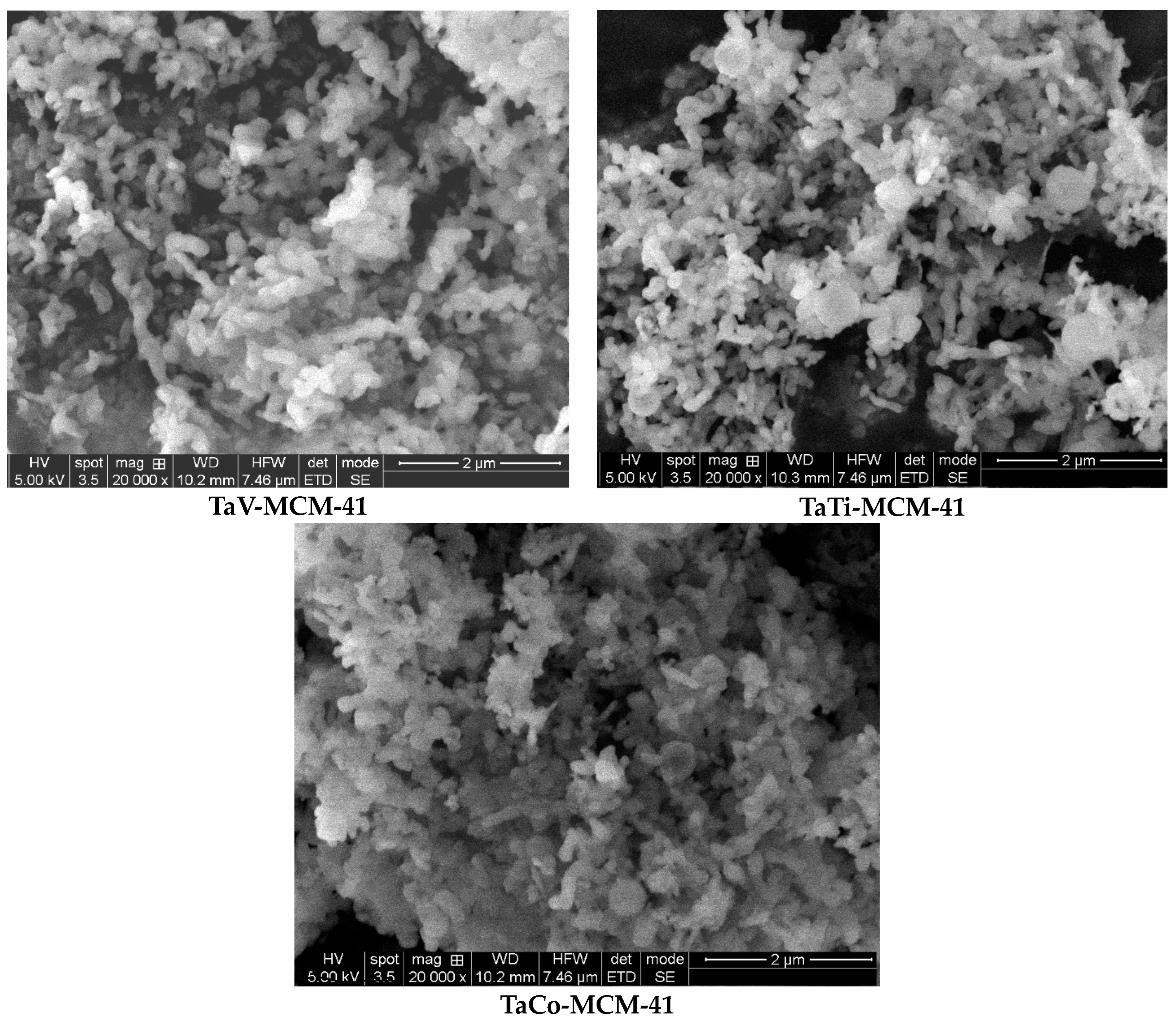 Nanomaterials 14 02025 g003b