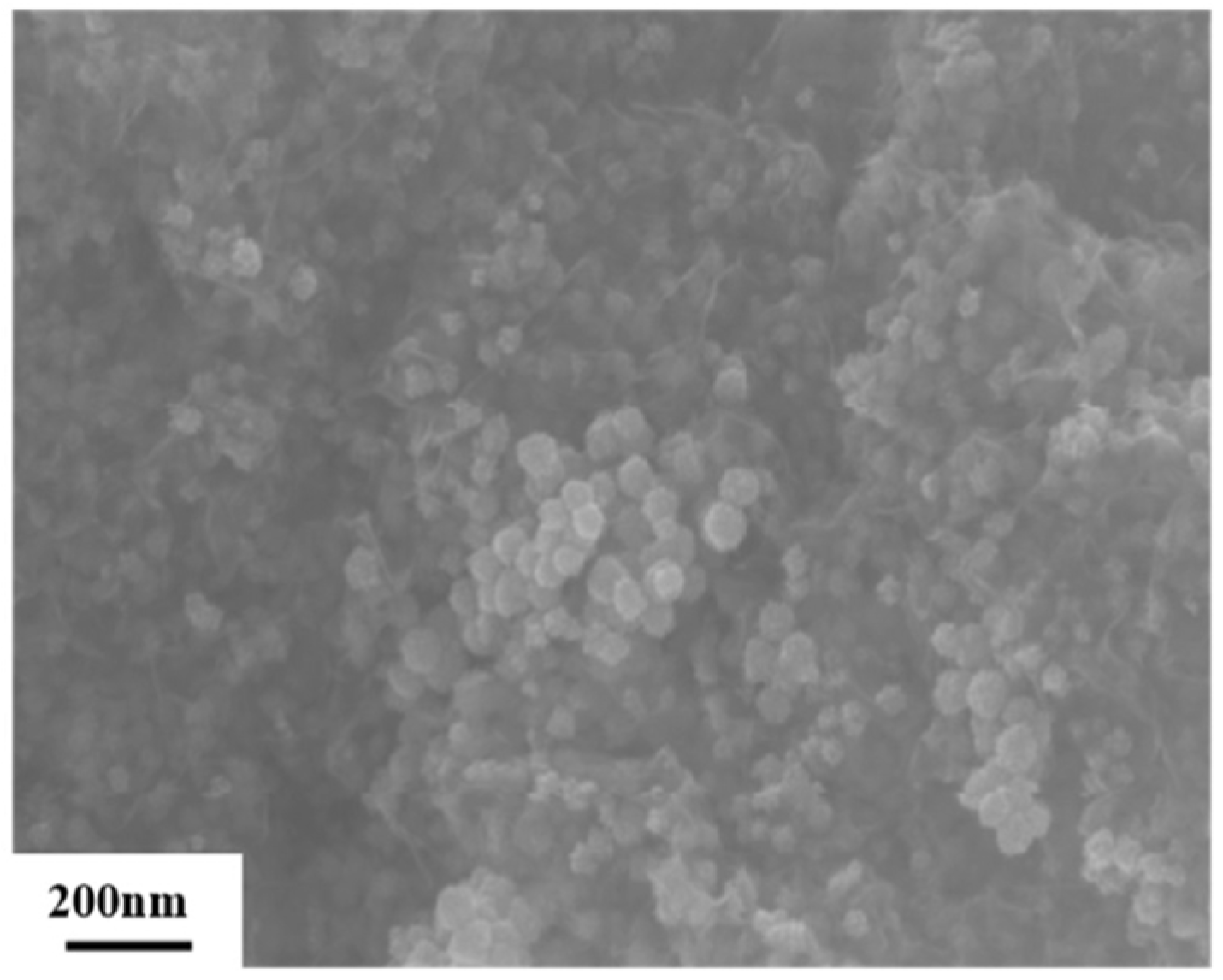 Nanomaterials 14 02026 g001