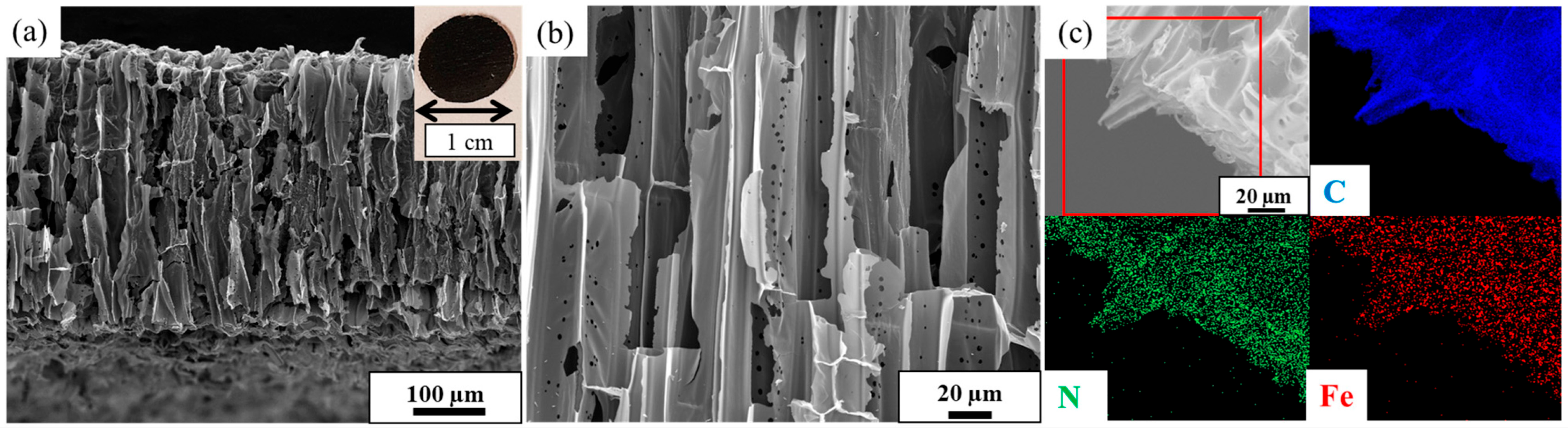 Nanomaterials 14 02026 g002
