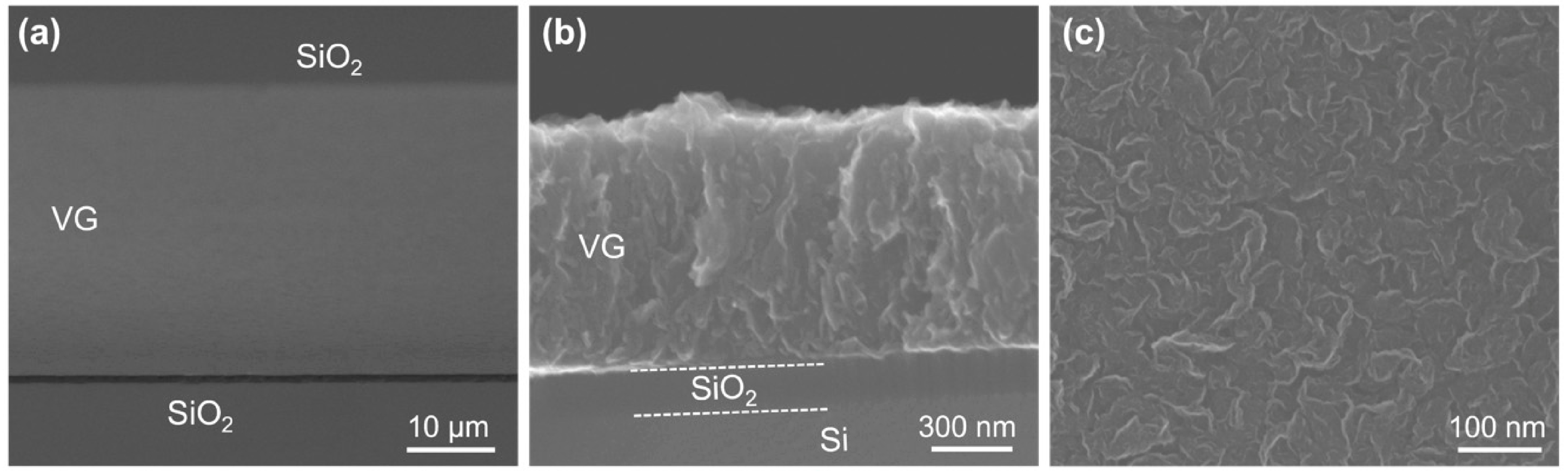 Nanomaterials 14 02026 g005
