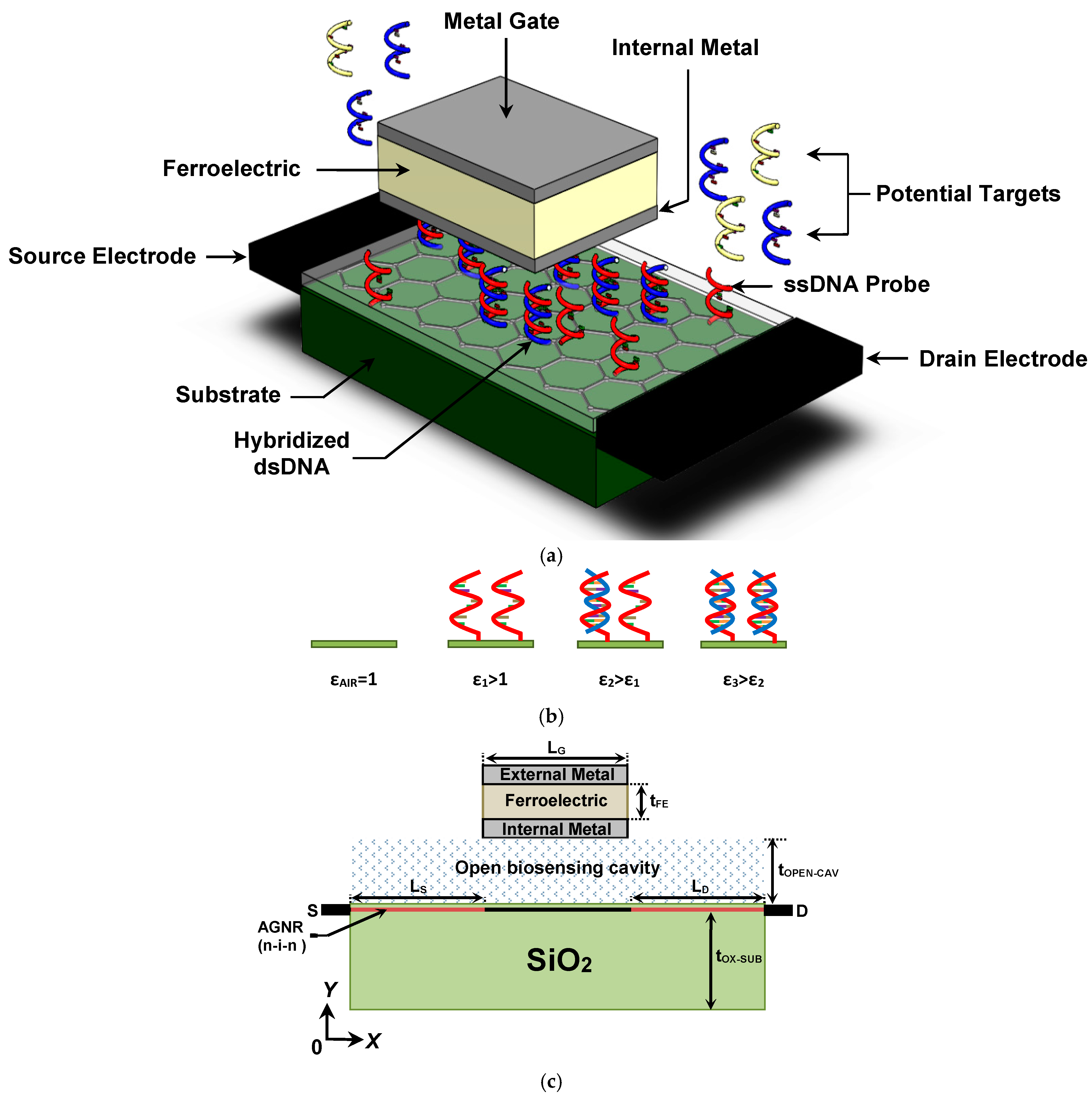 Nanomaterials 14 02038 g001