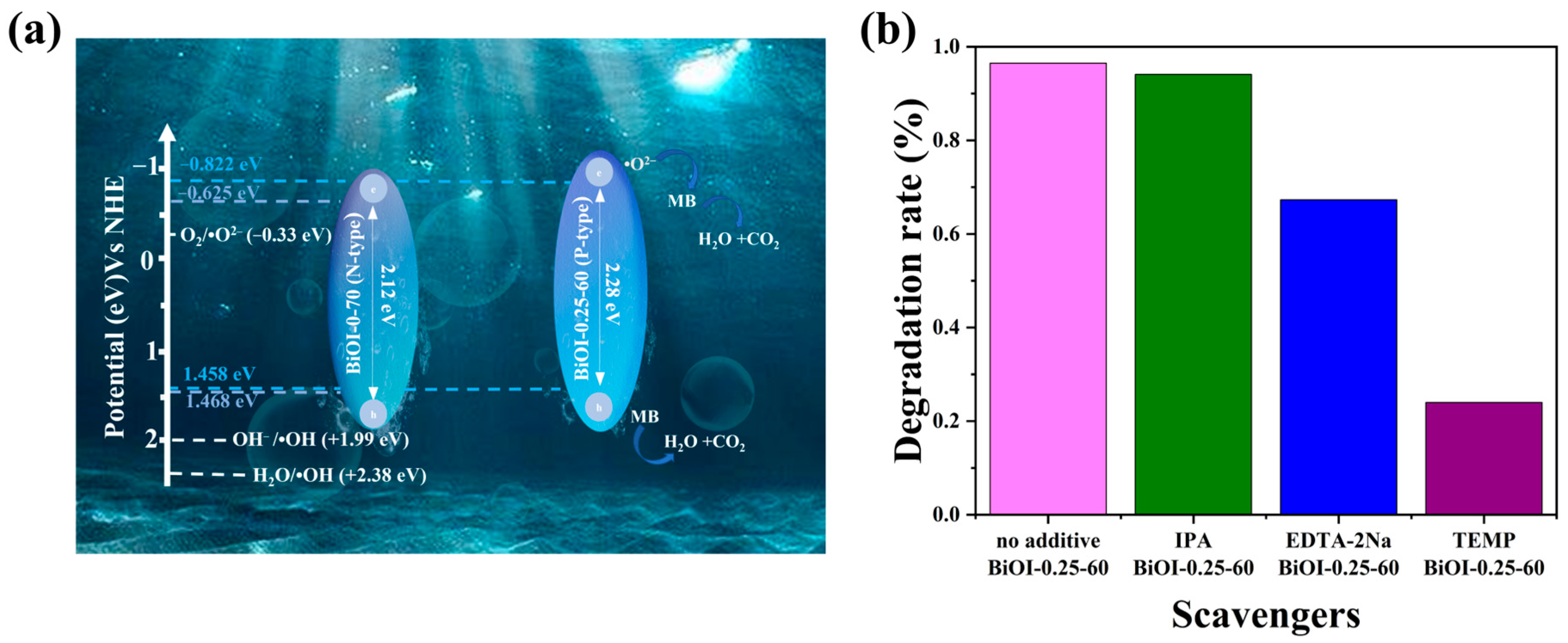 Nanomaterials 14 02048 g008