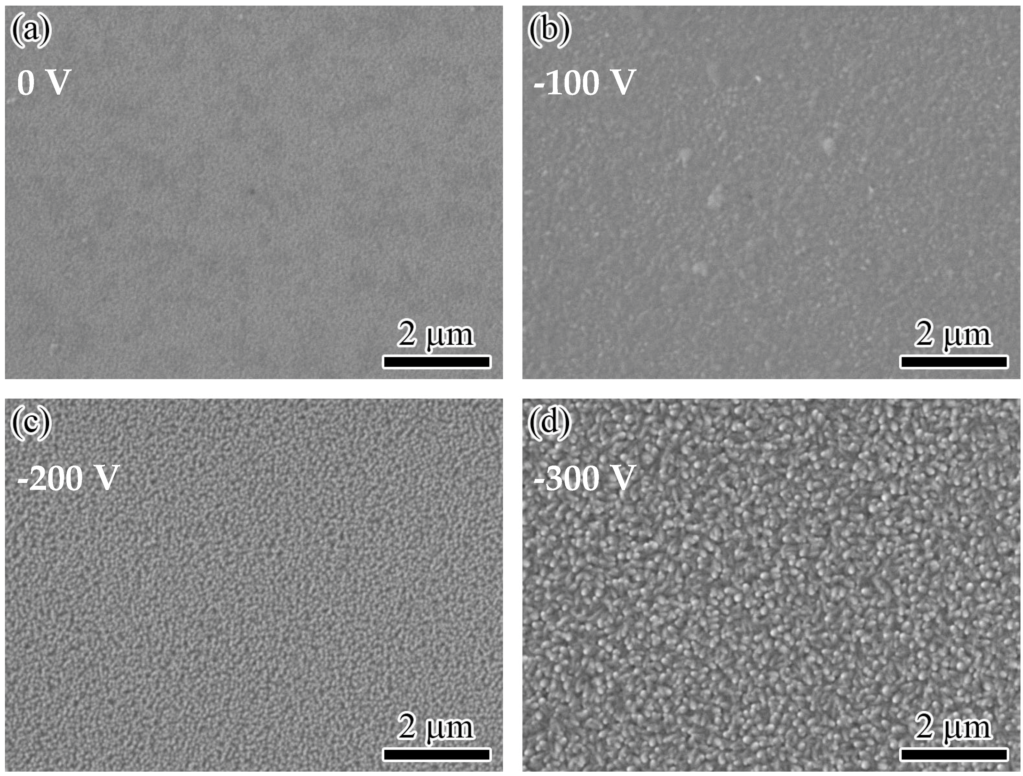 Nanomaterials 14 02050 g001