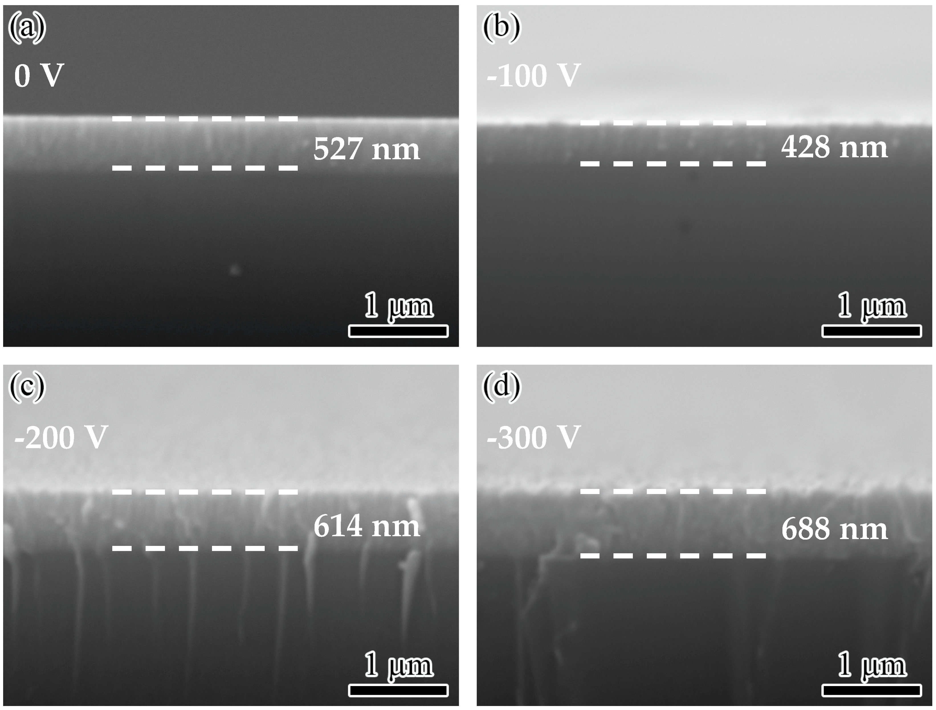Nanomaterials 14 02050 g002