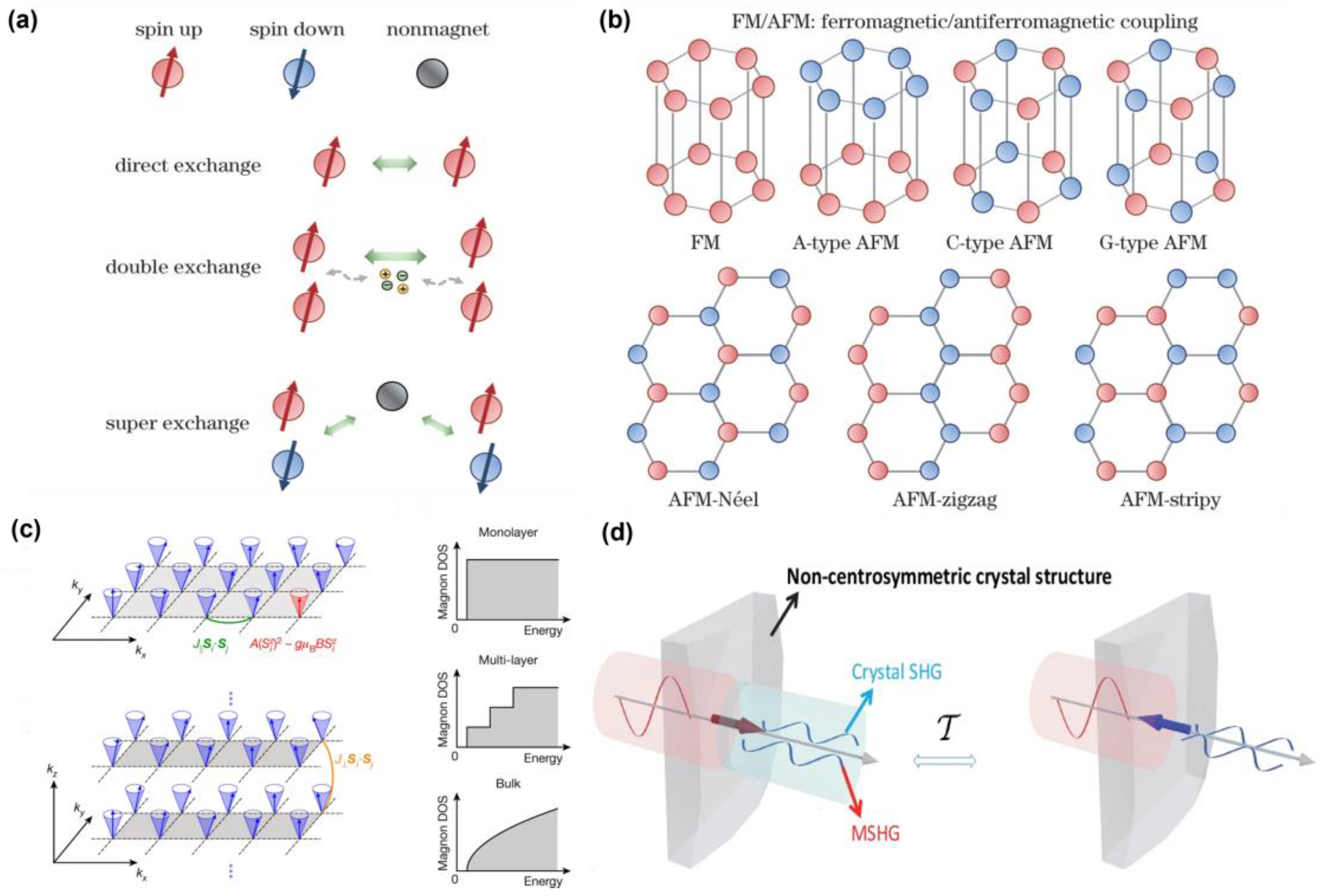 Nanomaterials 15 00063 g001
