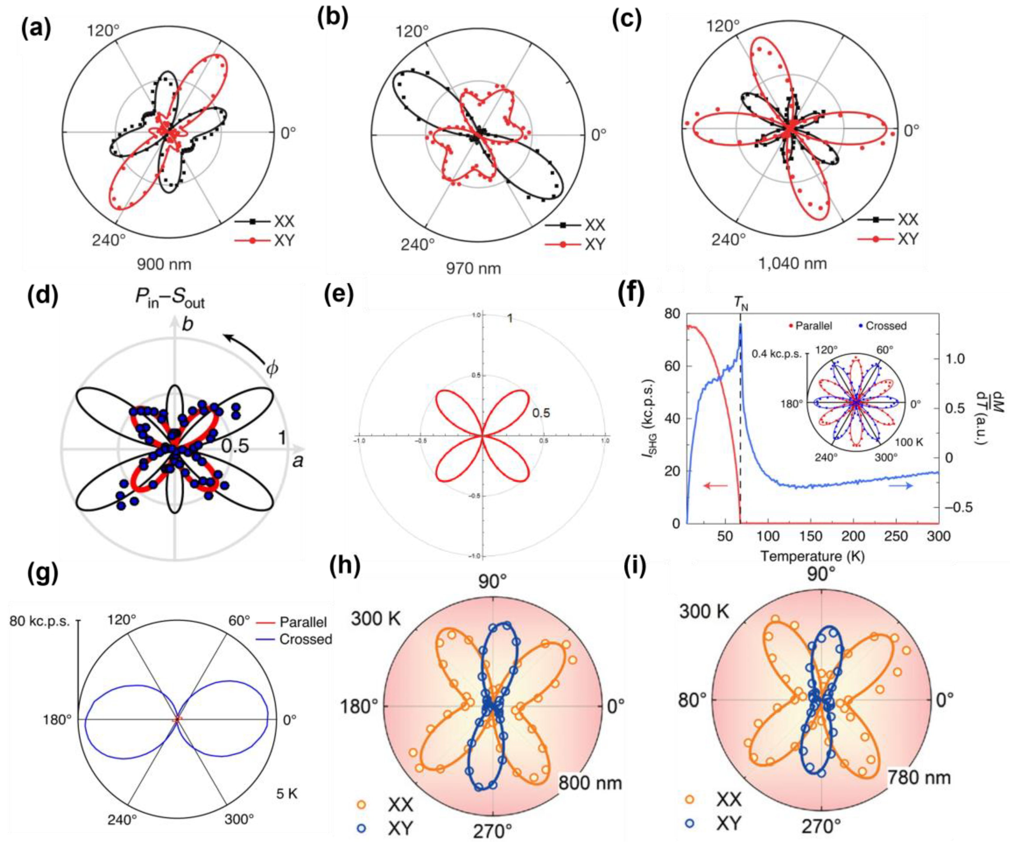 Nanomaterials 15 00063 g003