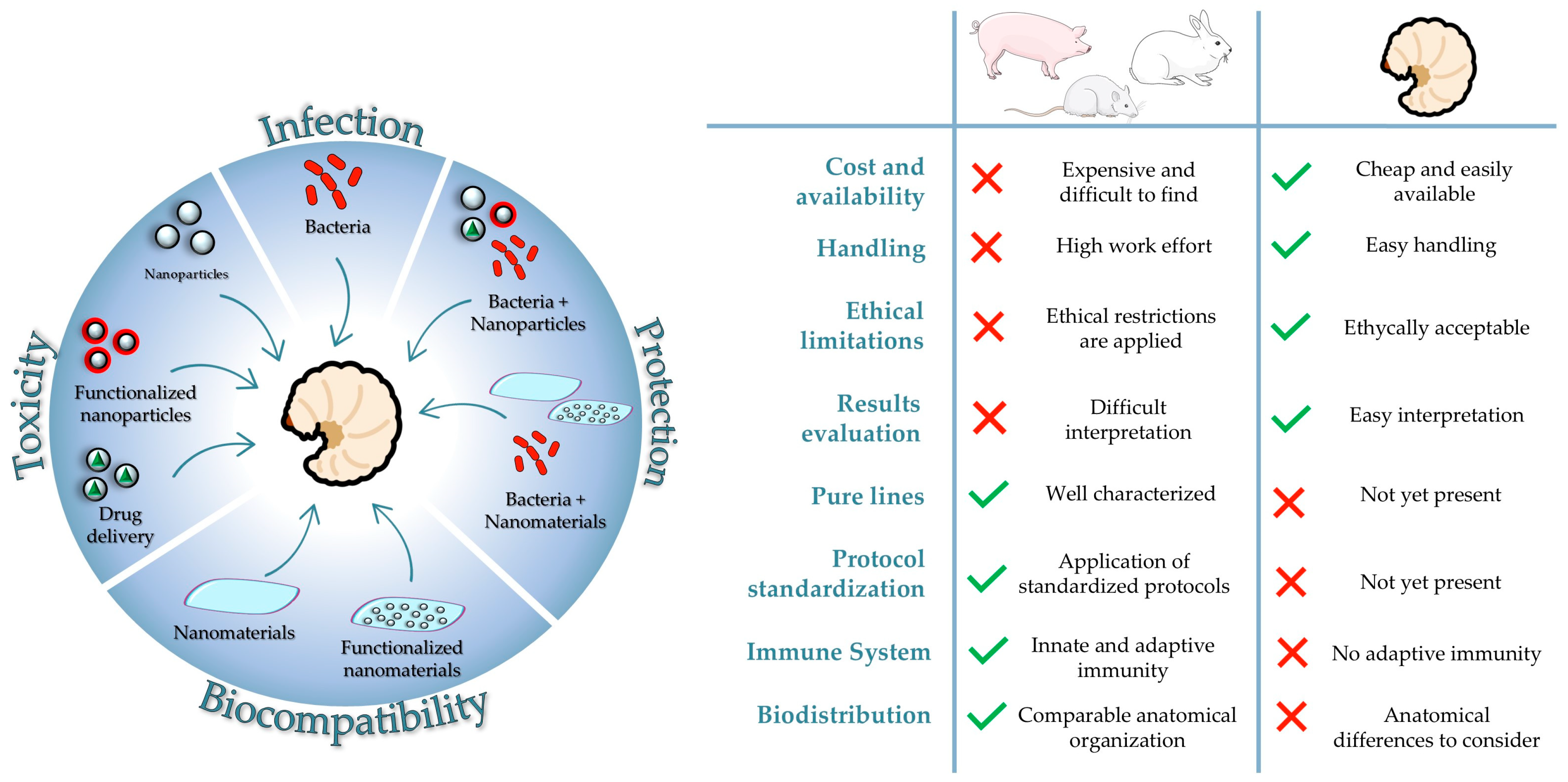 Nanomaterials 15 00067 g002