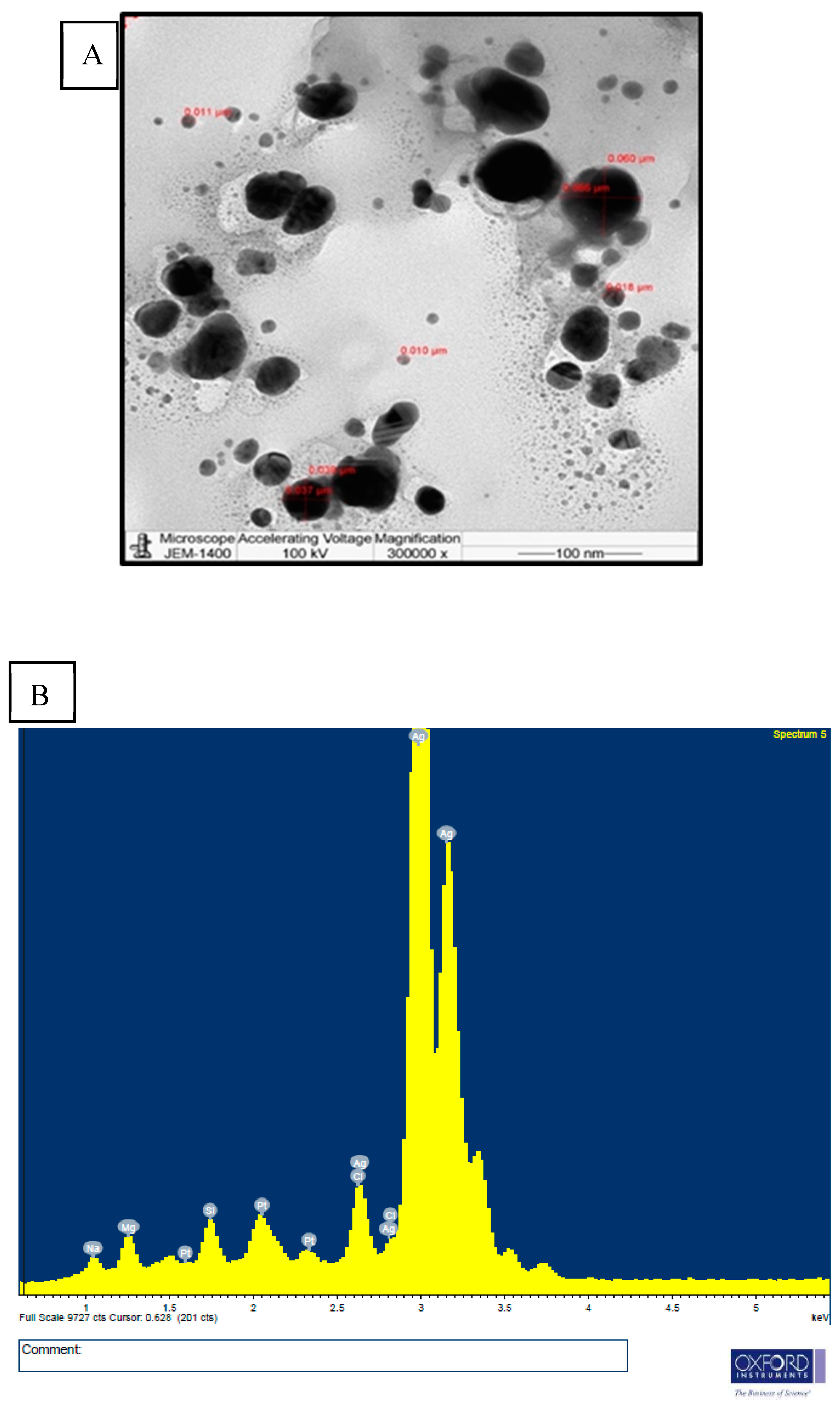 Nanomaterials 15 00077 g004 Nanomaterials 15 00077 g004