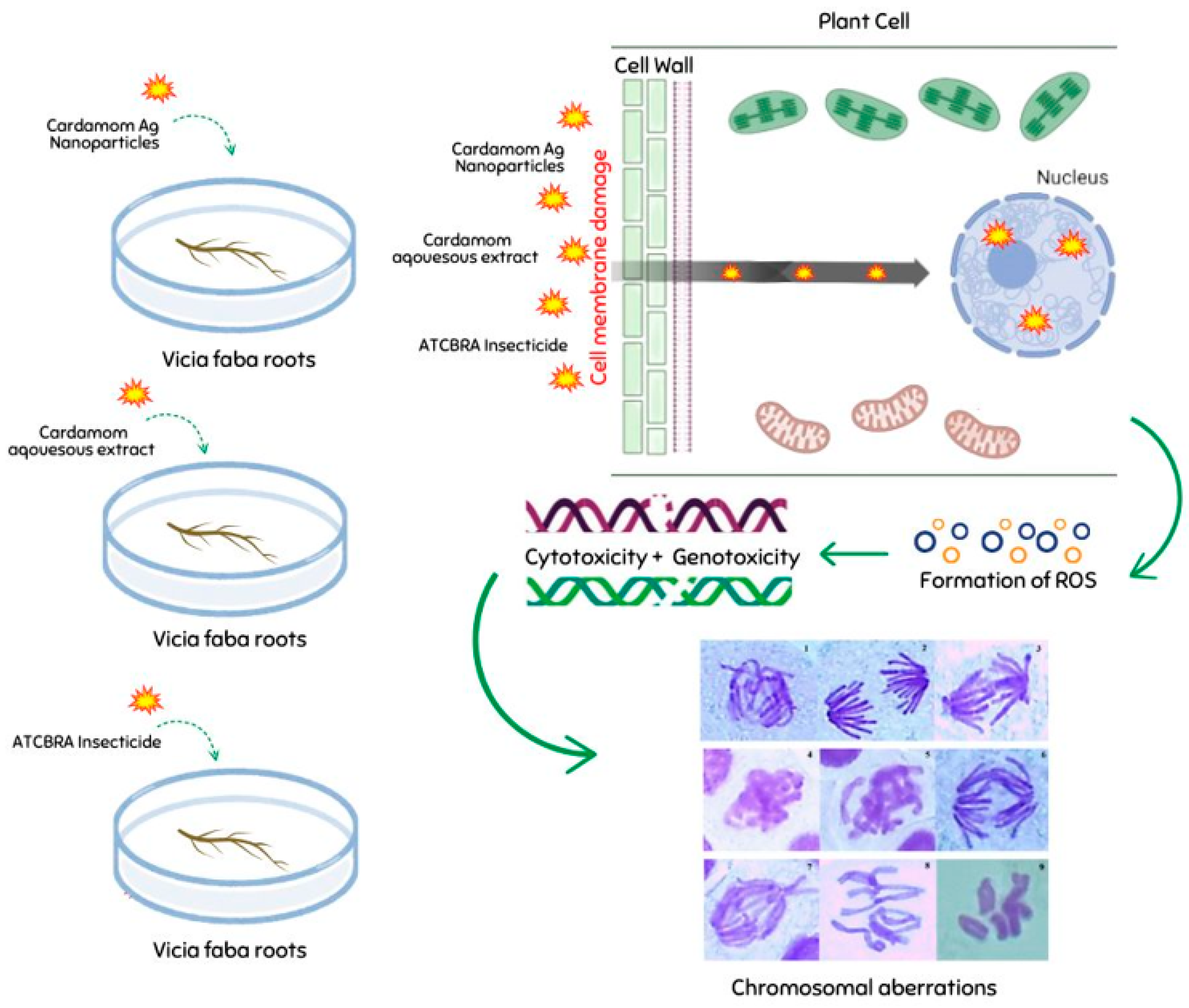 Nanomaterials 15 00077 g010 Nanomaterials 15 00077 g010