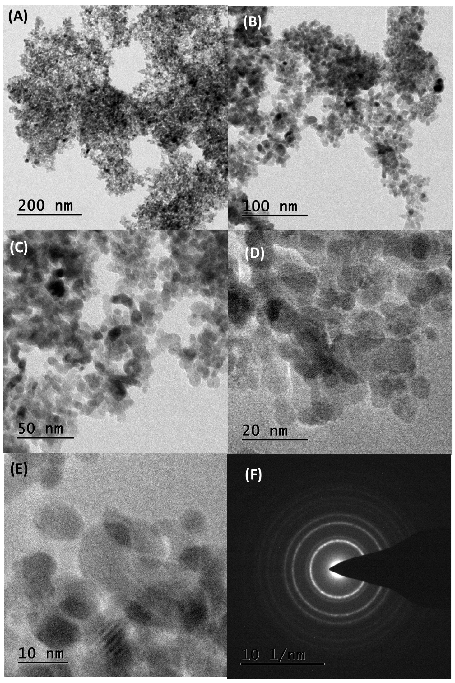 Nanomaterials 15 00084 g004