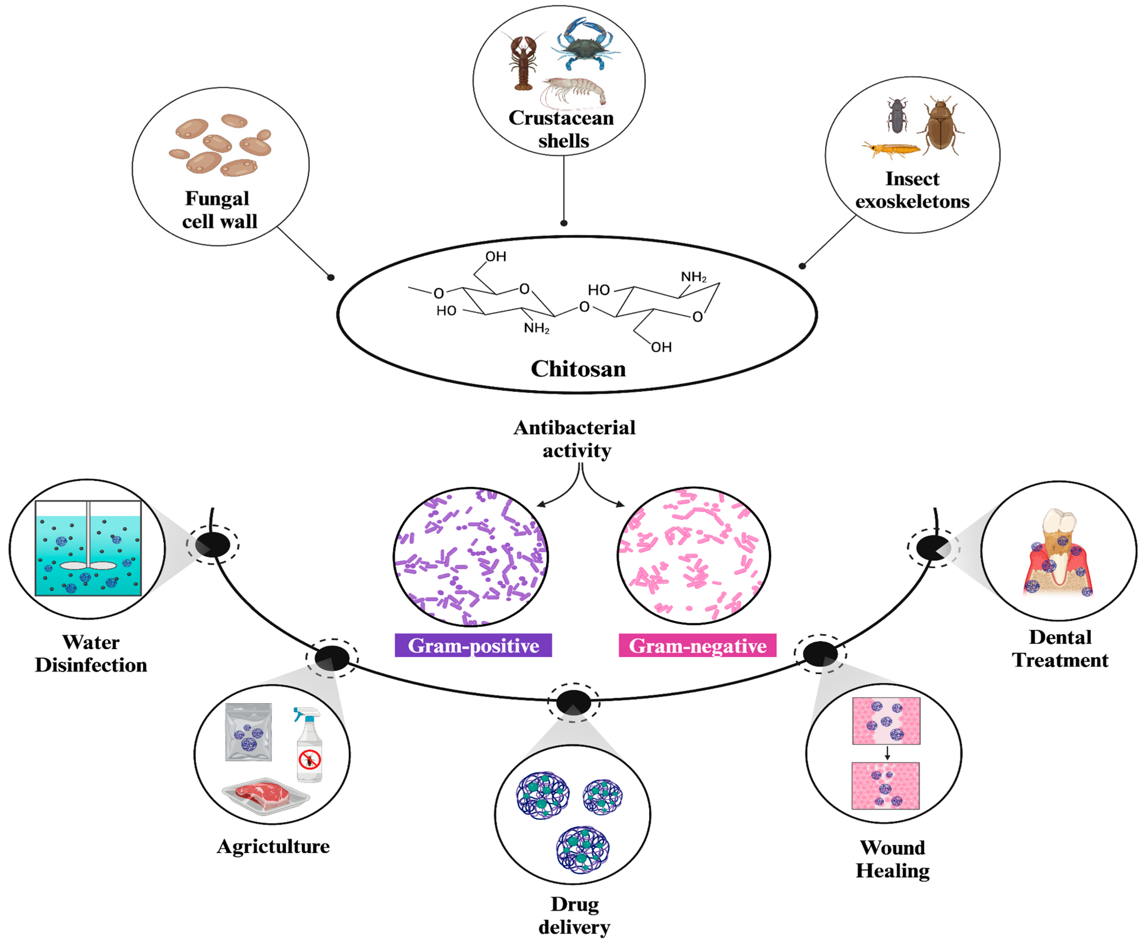 Nanomaterials 15 00126 g001