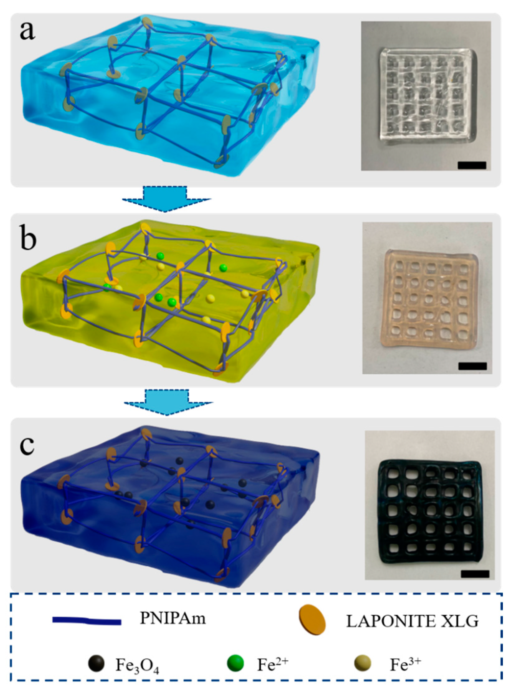Nanomaterials 15 00134 g001
