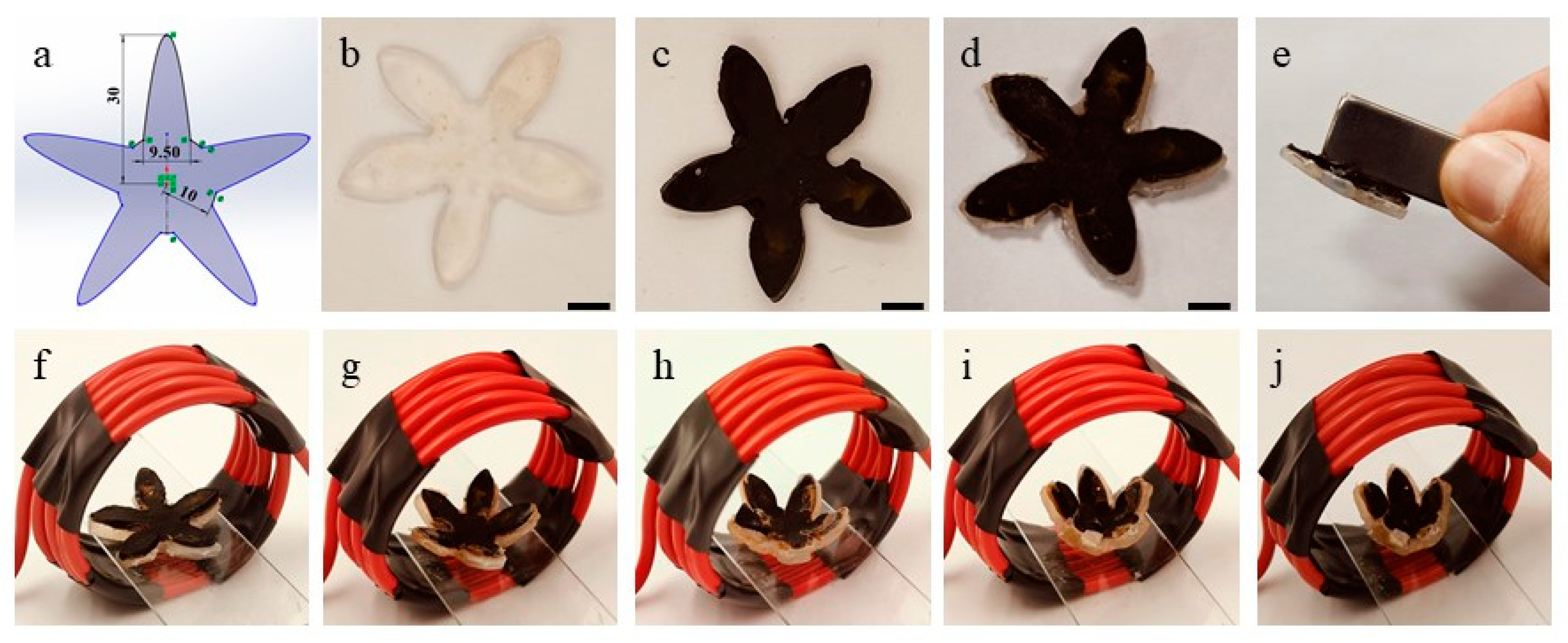 Nanomaterials 15 00134 g005