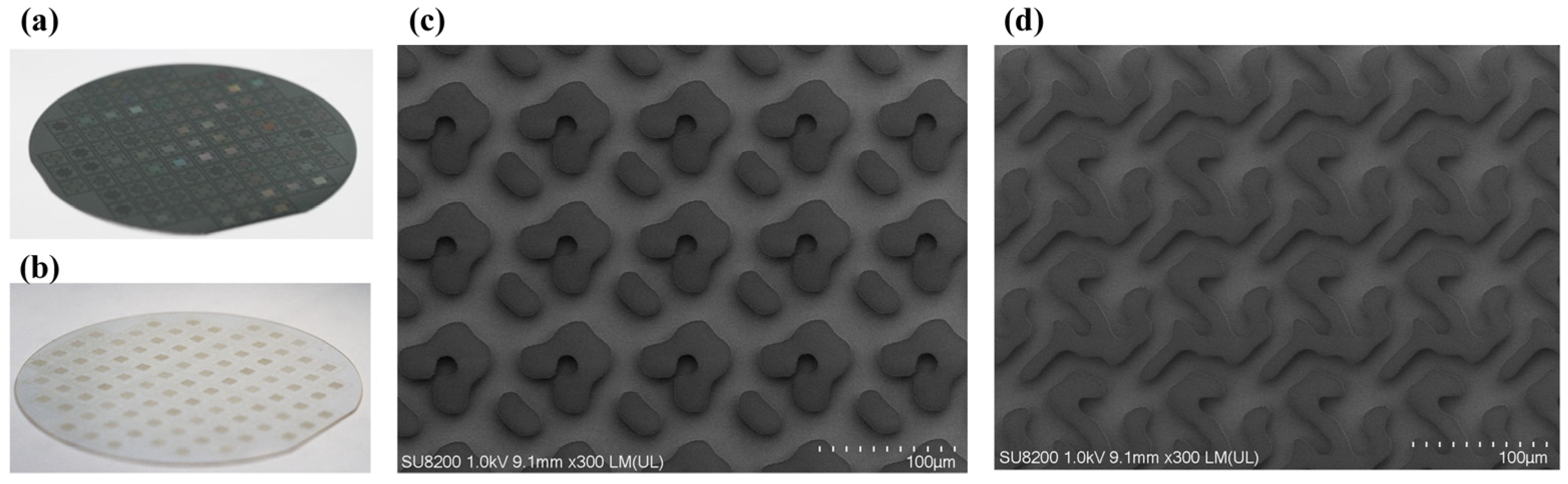 Nanomaterials 15 00138 g010