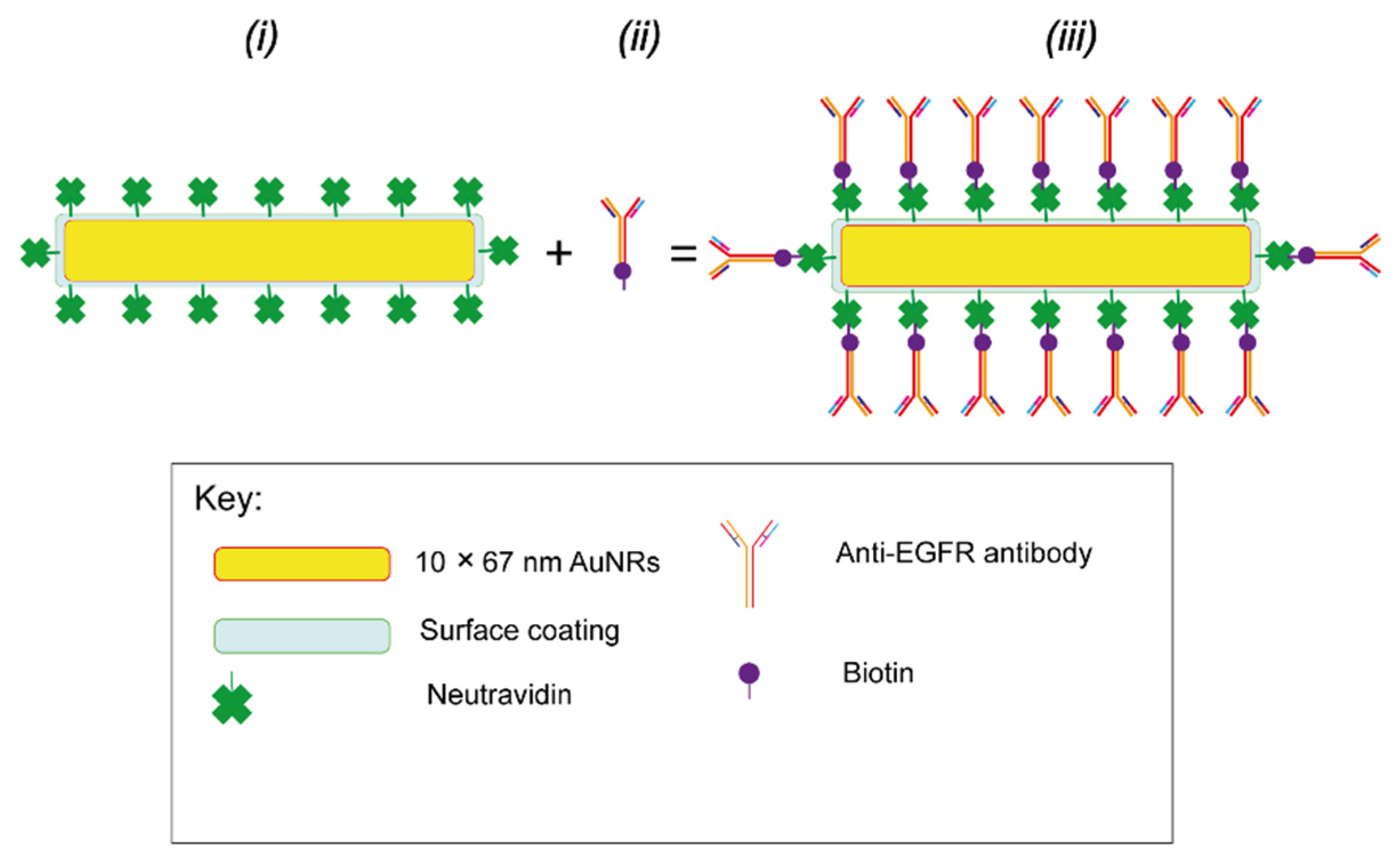 Nanomaterials 15 00158 g013 Nanomaterials 15 00158 g013