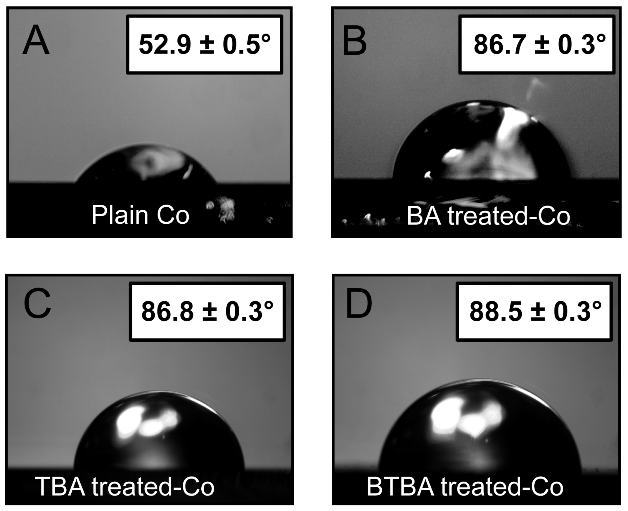 Nanomaterials 15 00164 g002