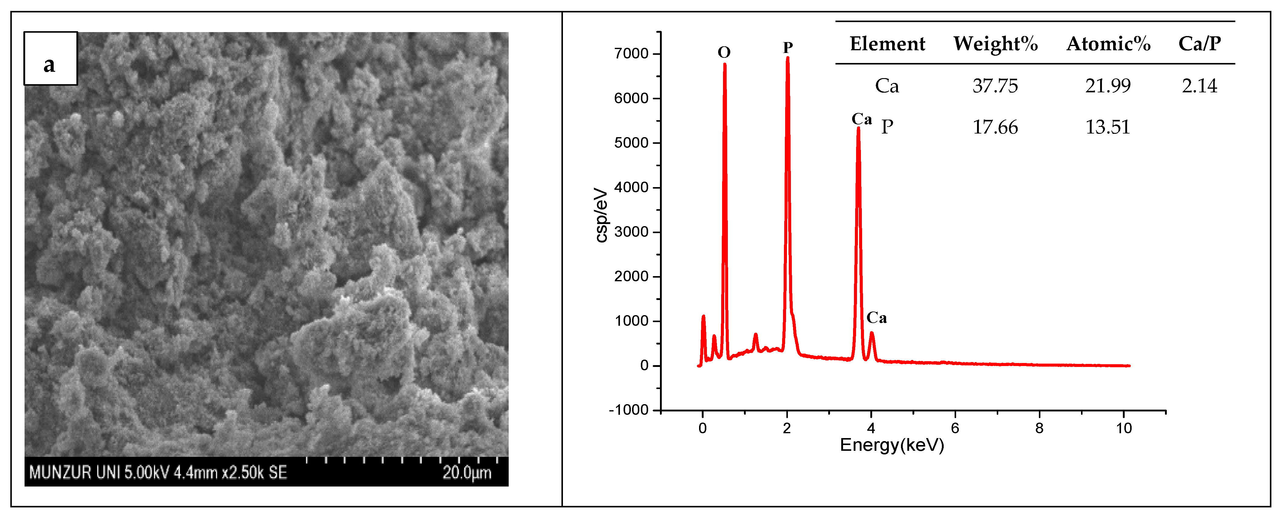 Nanomaterials 15 00179 g002a
