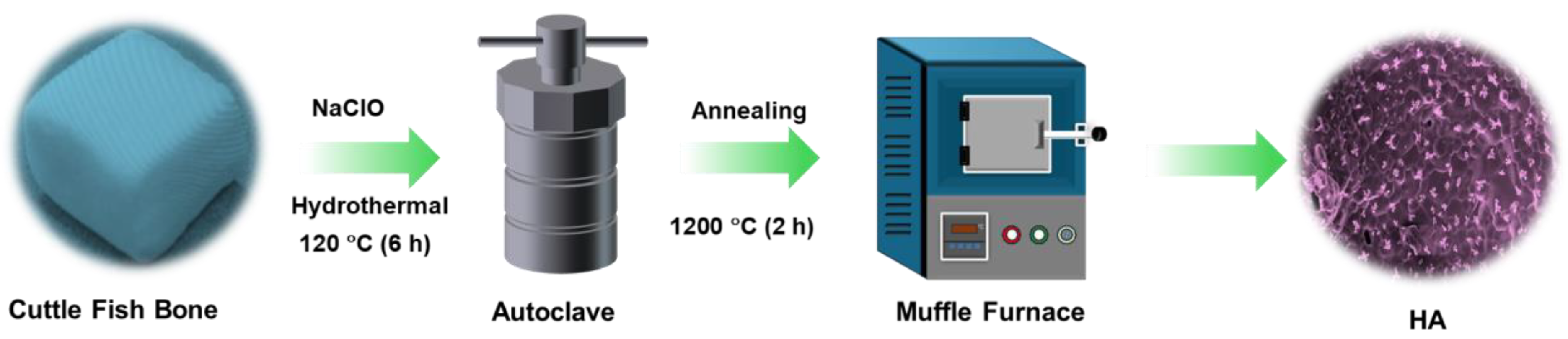 Nanomaterials 15 00196 g001