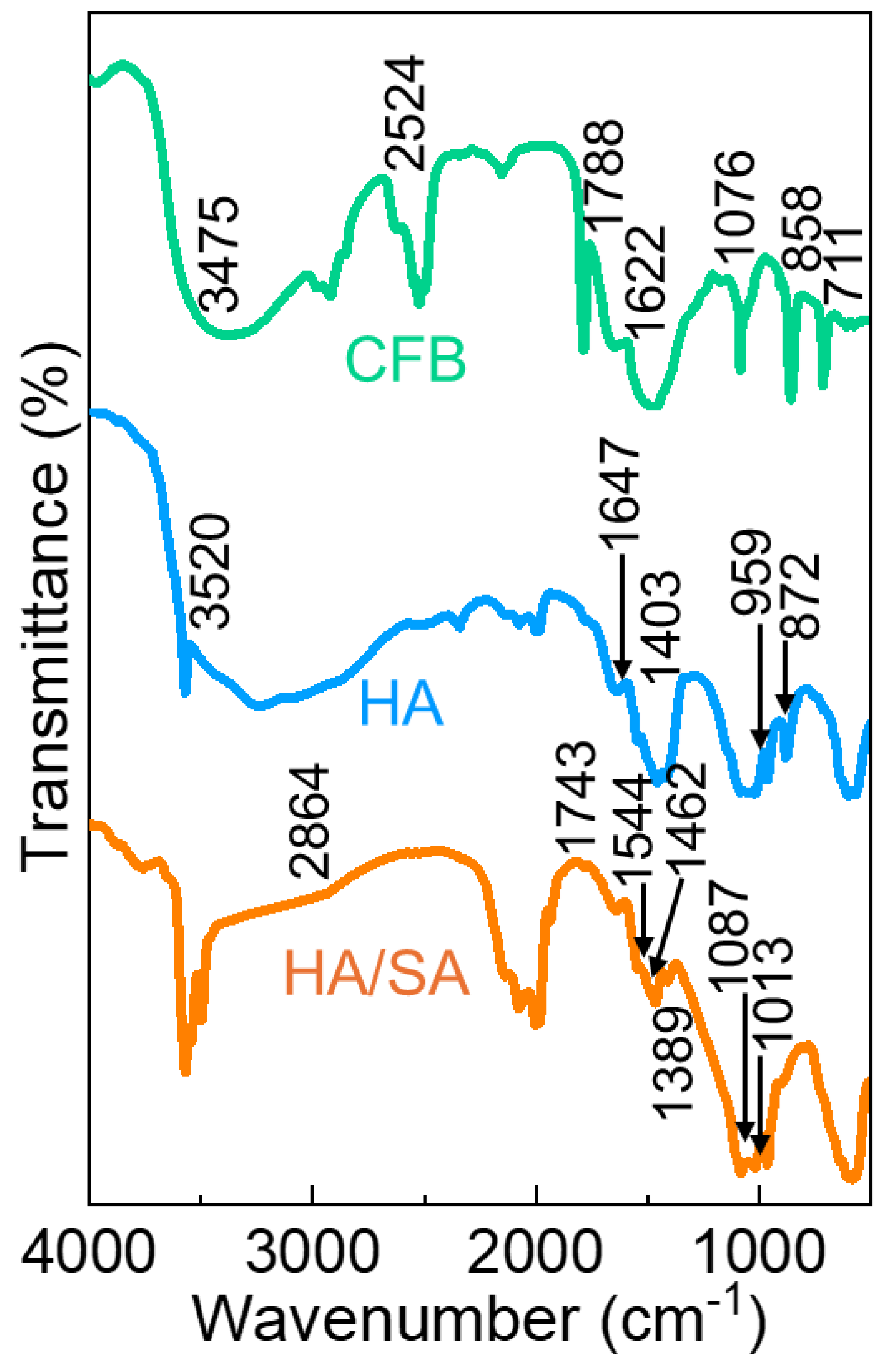 Nanomaterials 15 00196 g003