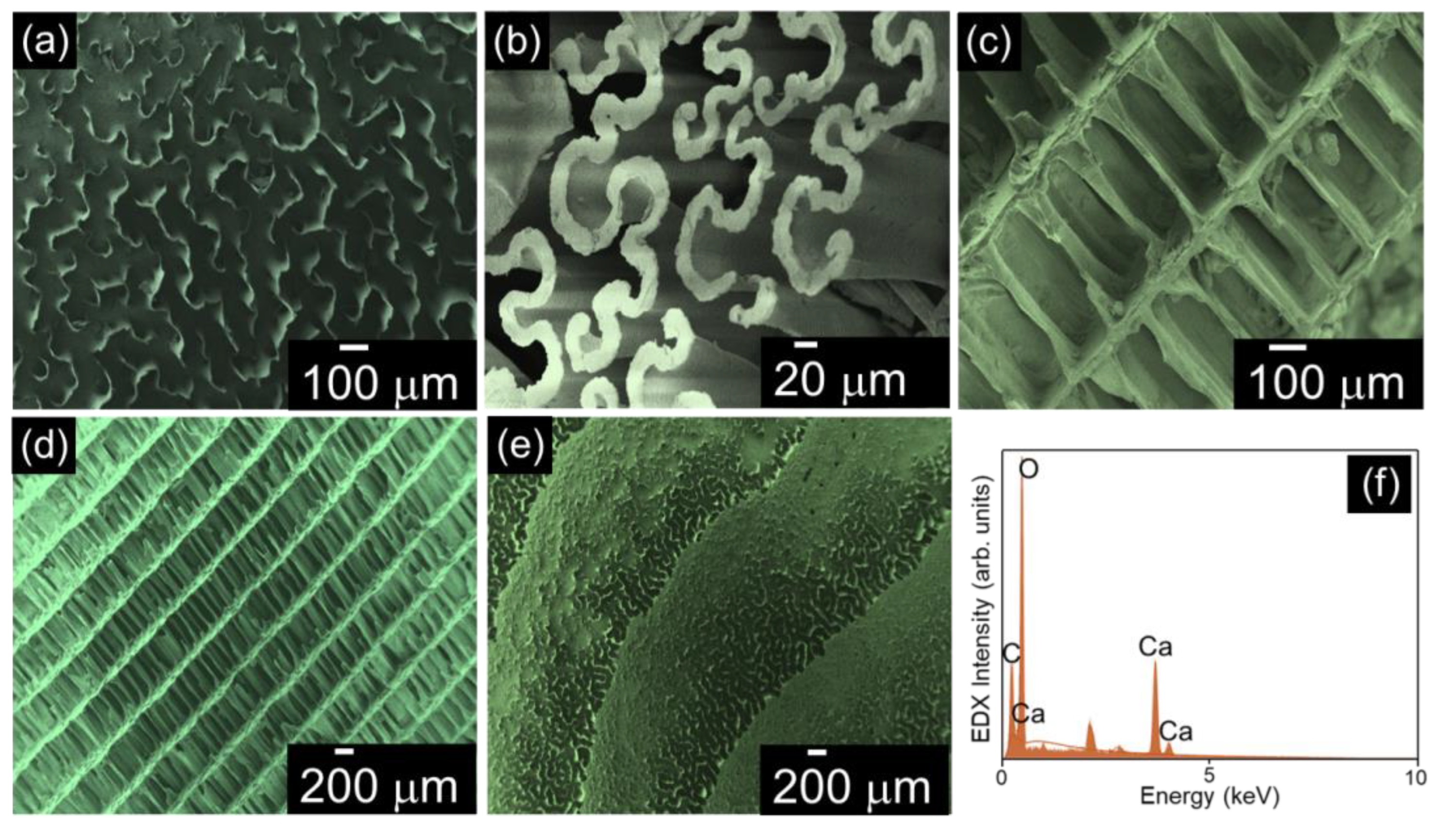 Nanomaterials 15 00196 g004