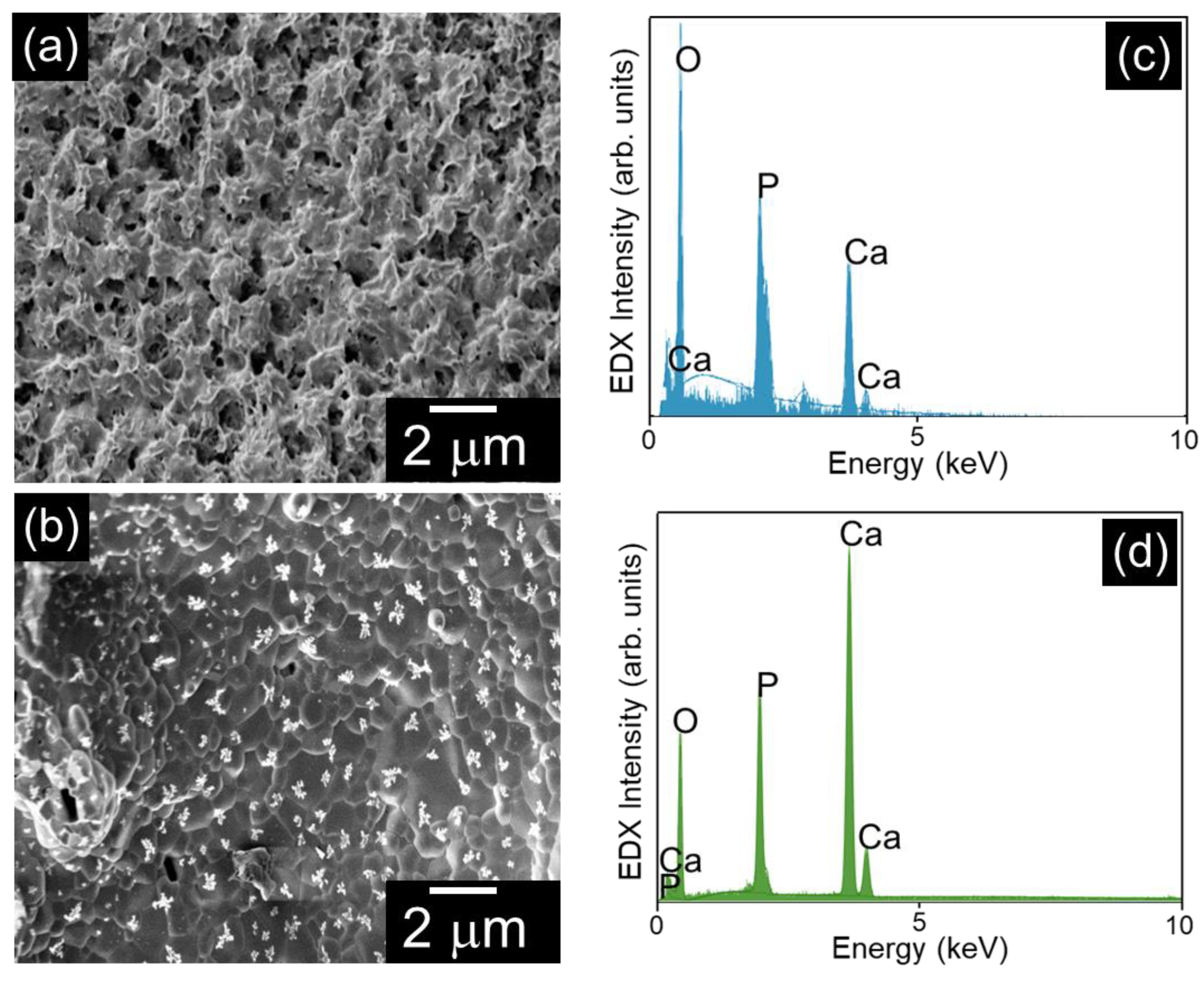 Nanomaterials 15 00196 g005