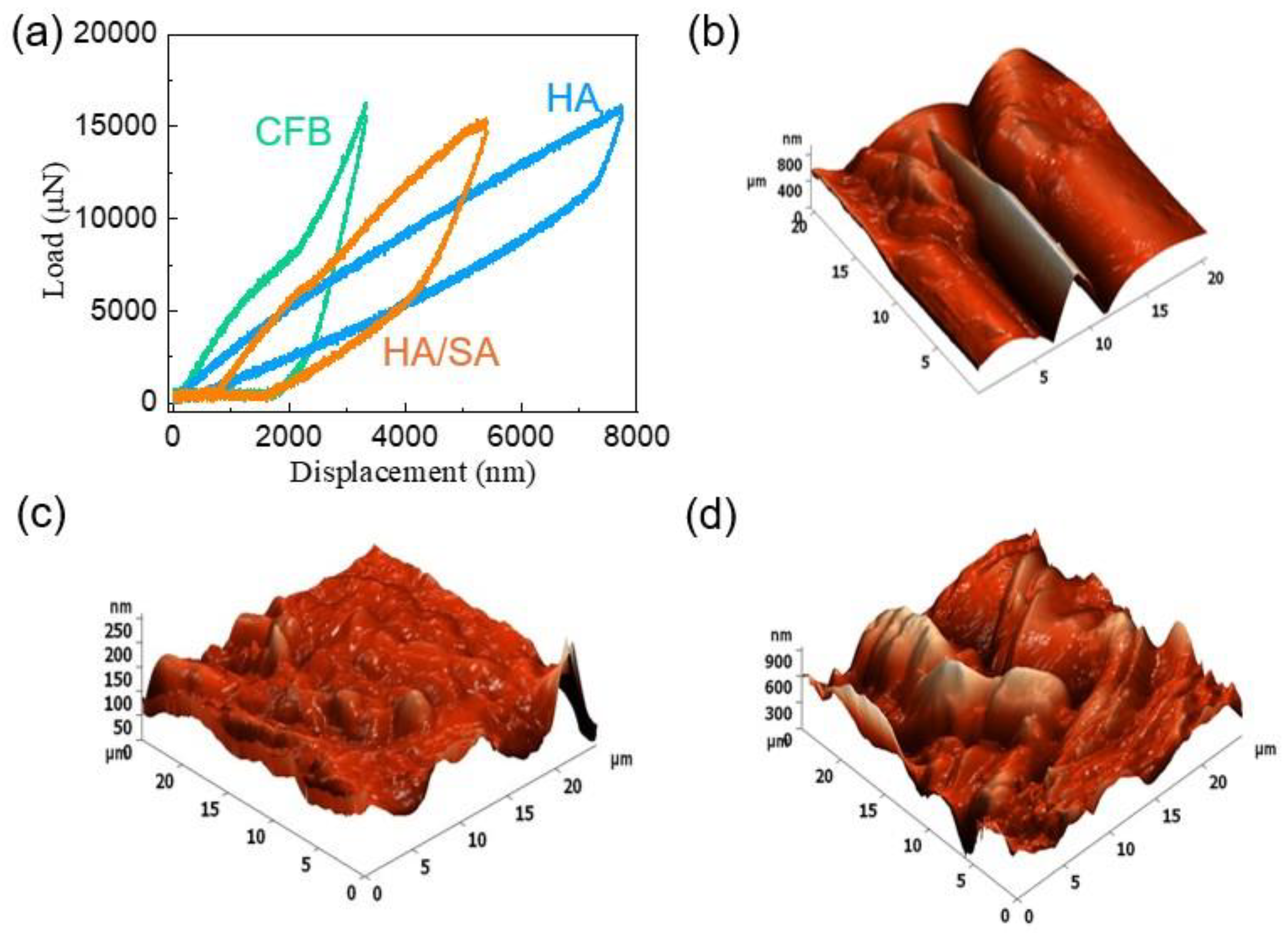 Nanomaterials 15 00196 g007