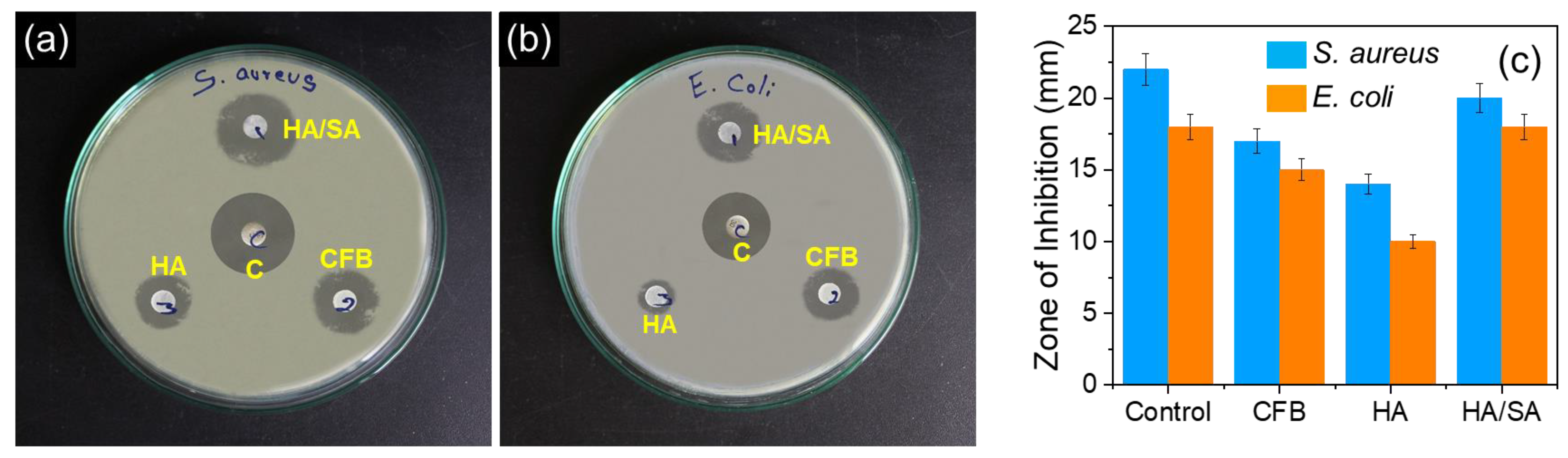 Nanomaterials 15 00196 g008
