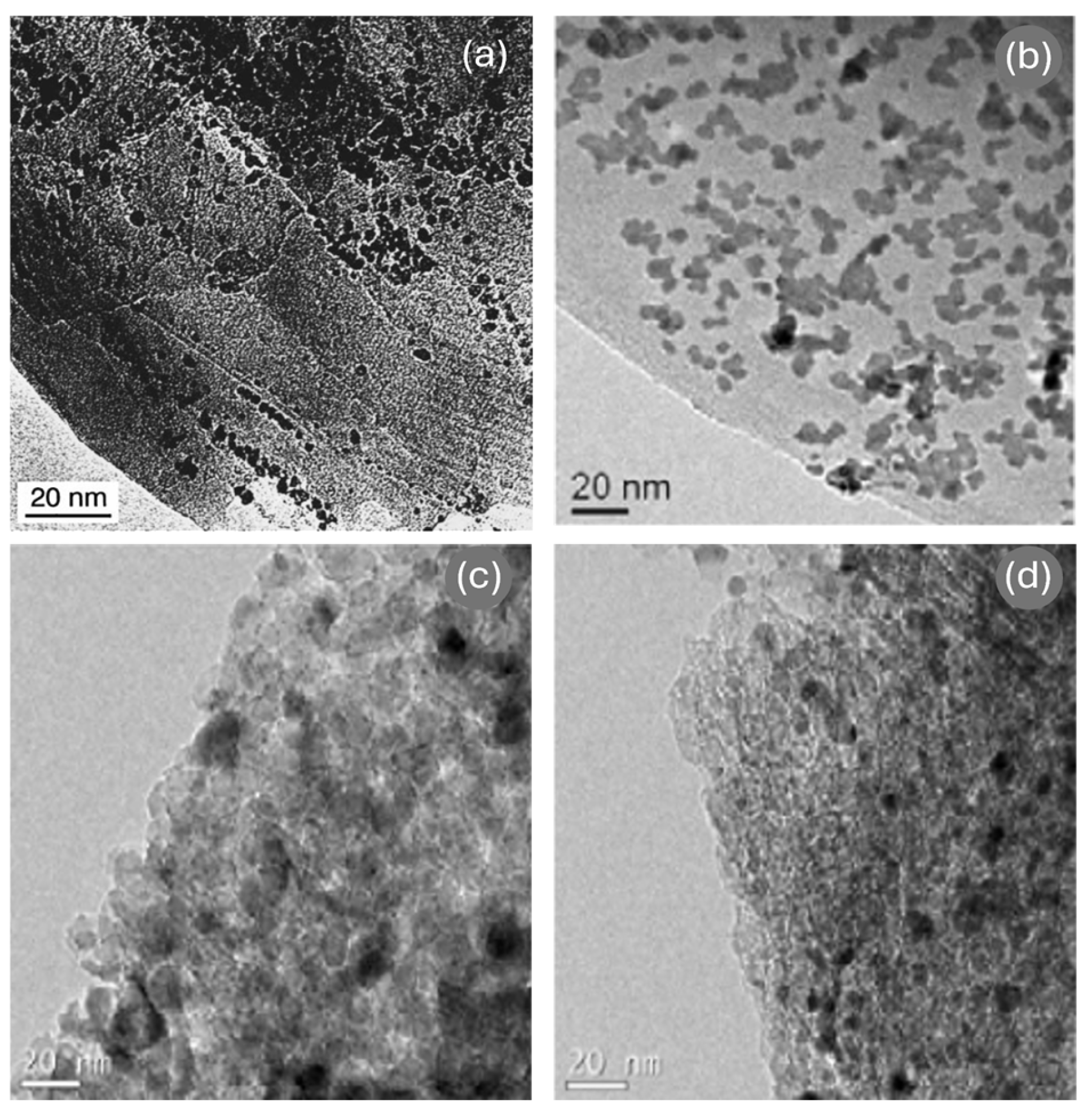 Nanomaterials 15 00212 g001