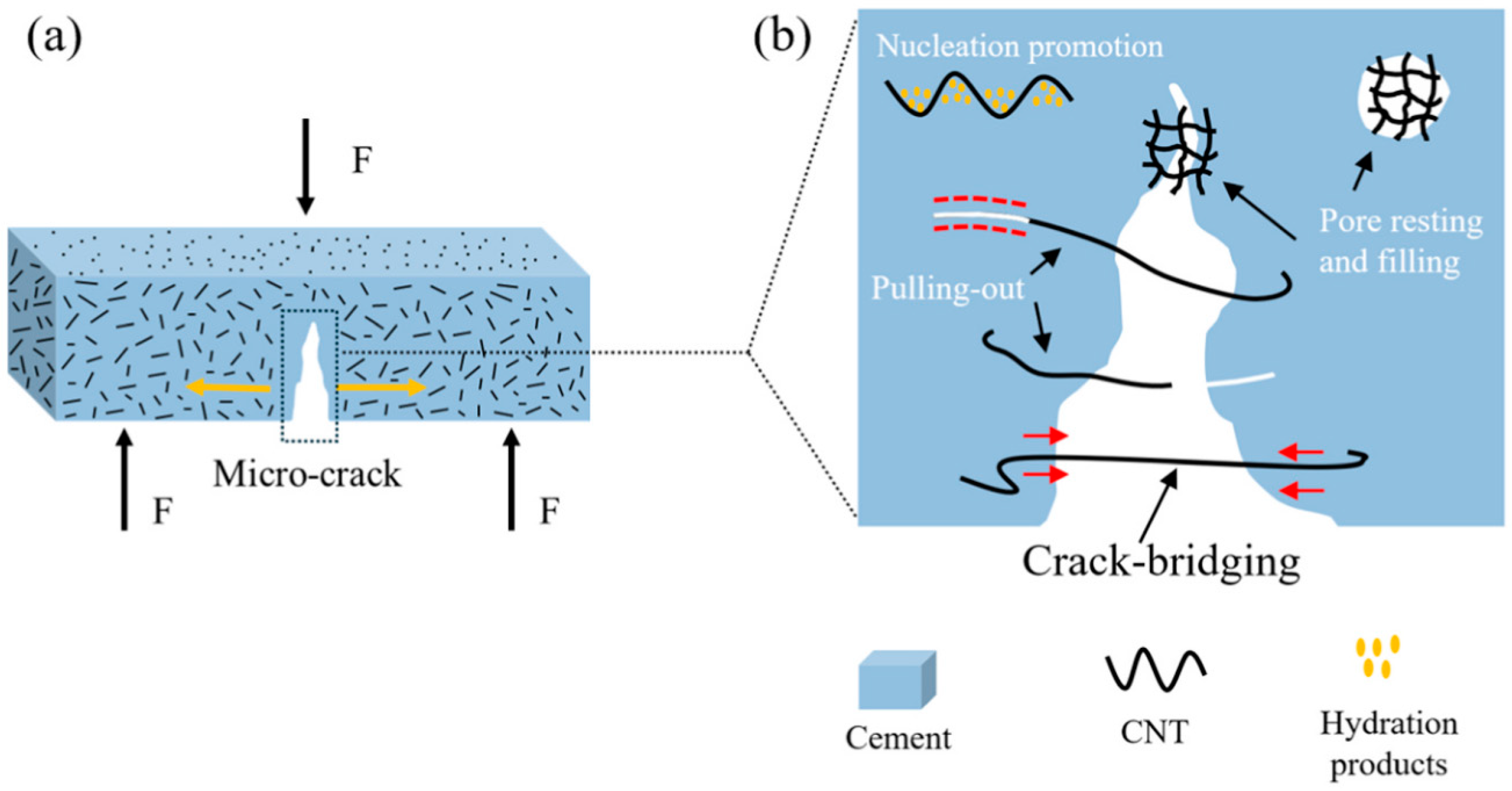 Nanomaterials 15 00216 g007