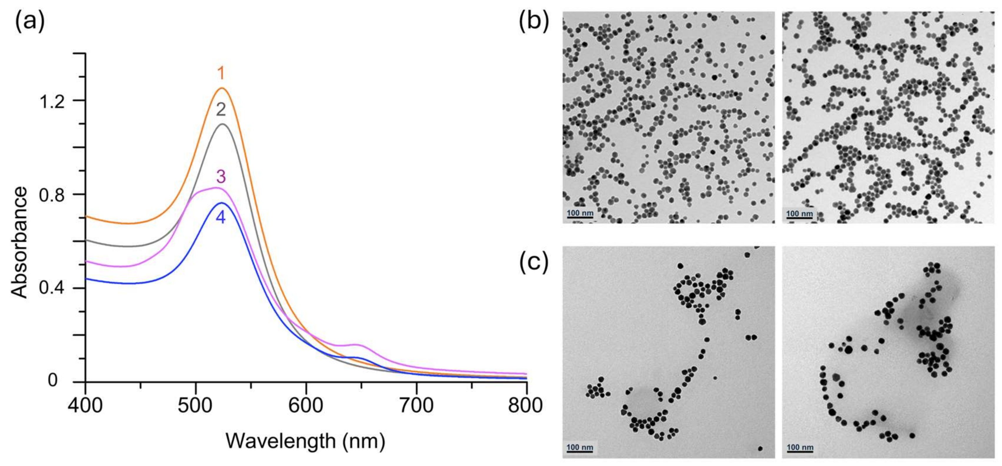 Nanomaterials 15 00220 g001