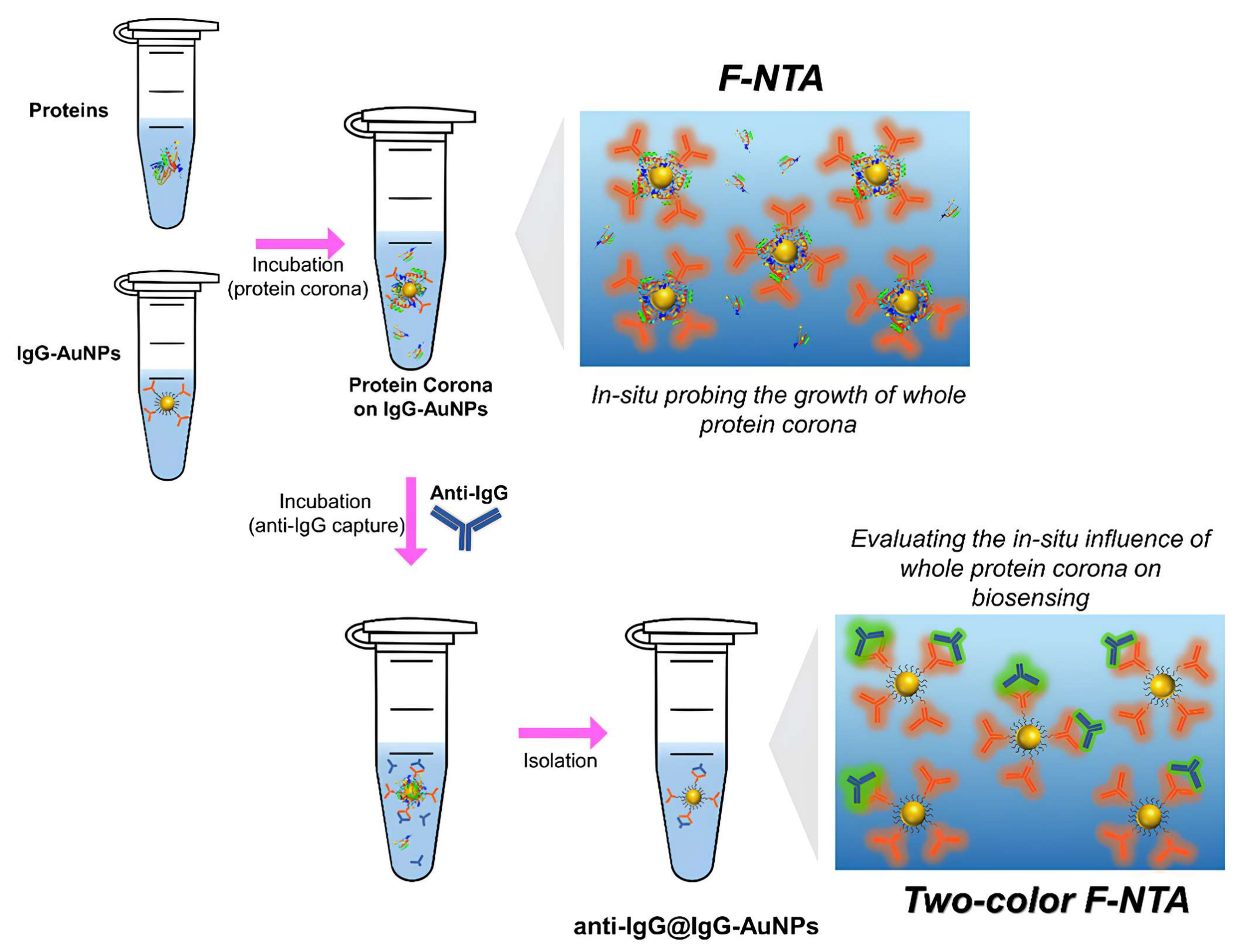 Nanomaterials 15 00220 g002