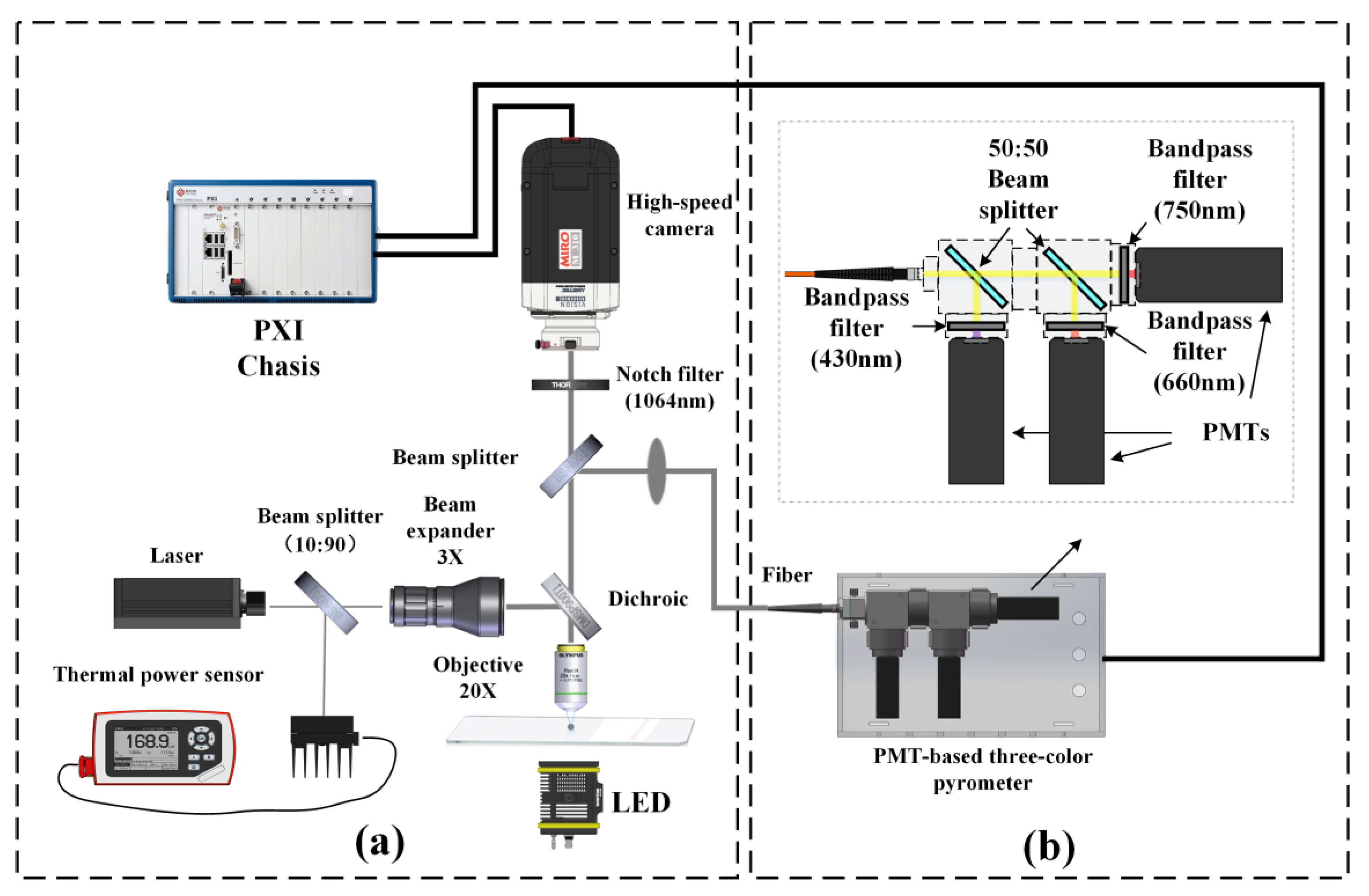 Nanomaterials 15 00223 g001