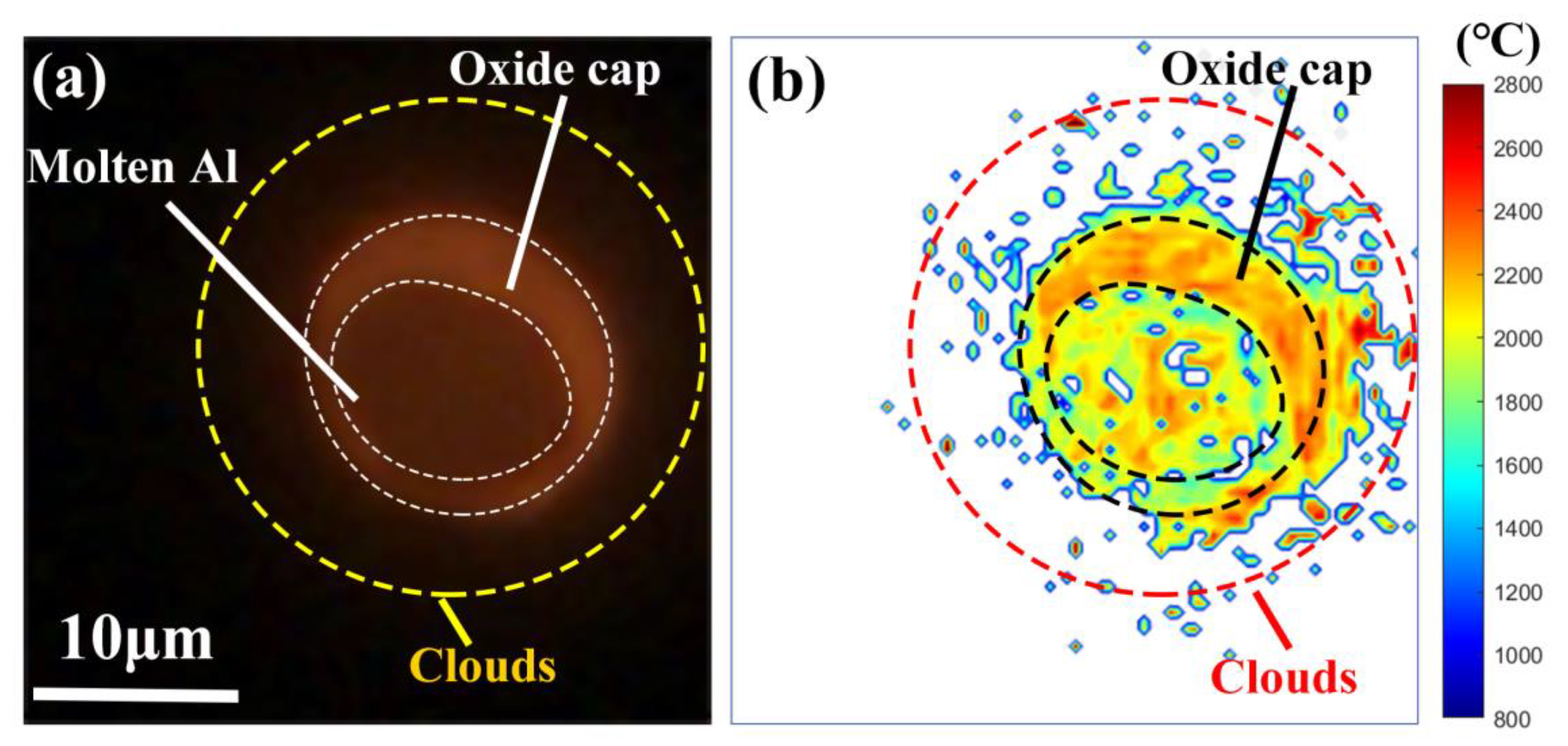 Nanomaterials 15 00223 g004