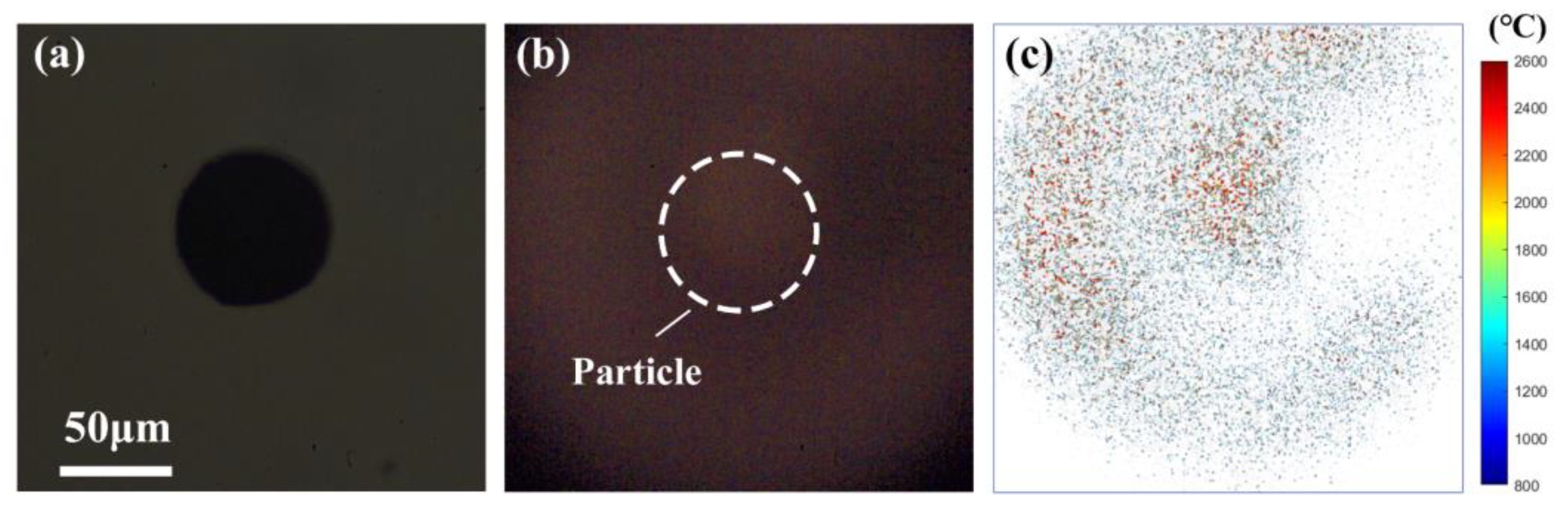 Nanomaterials 15 00223 g009