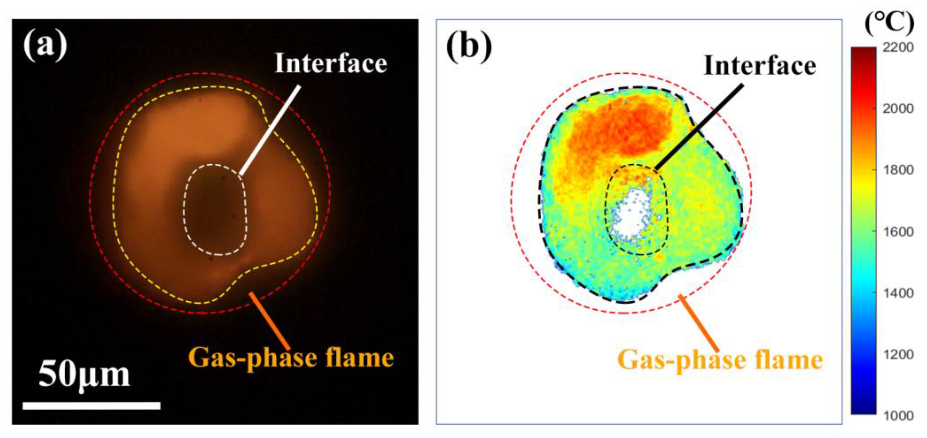 Nanomaterials 15 00223 g011